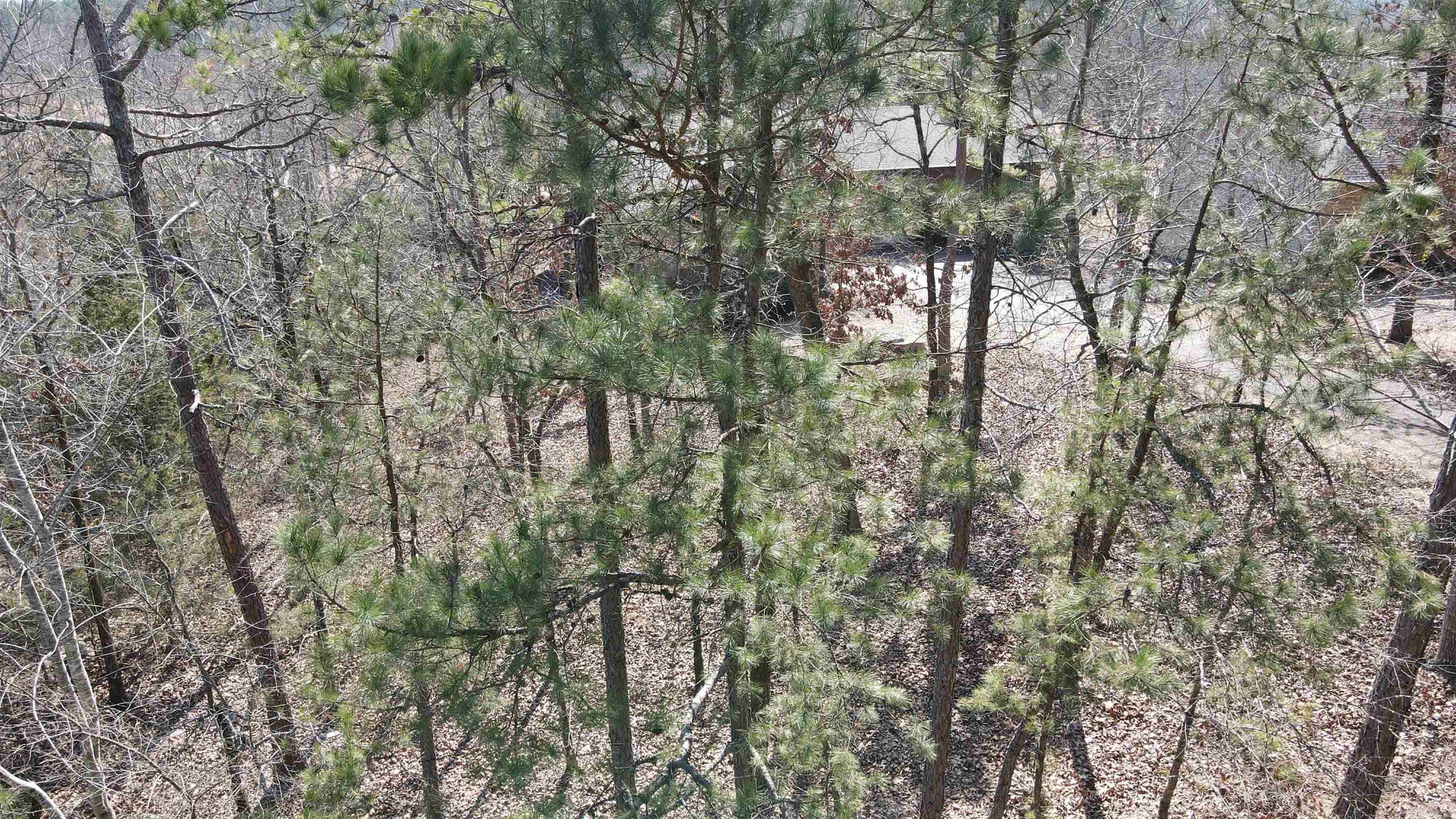 46 Jubileo  Hot Springs Village, AR