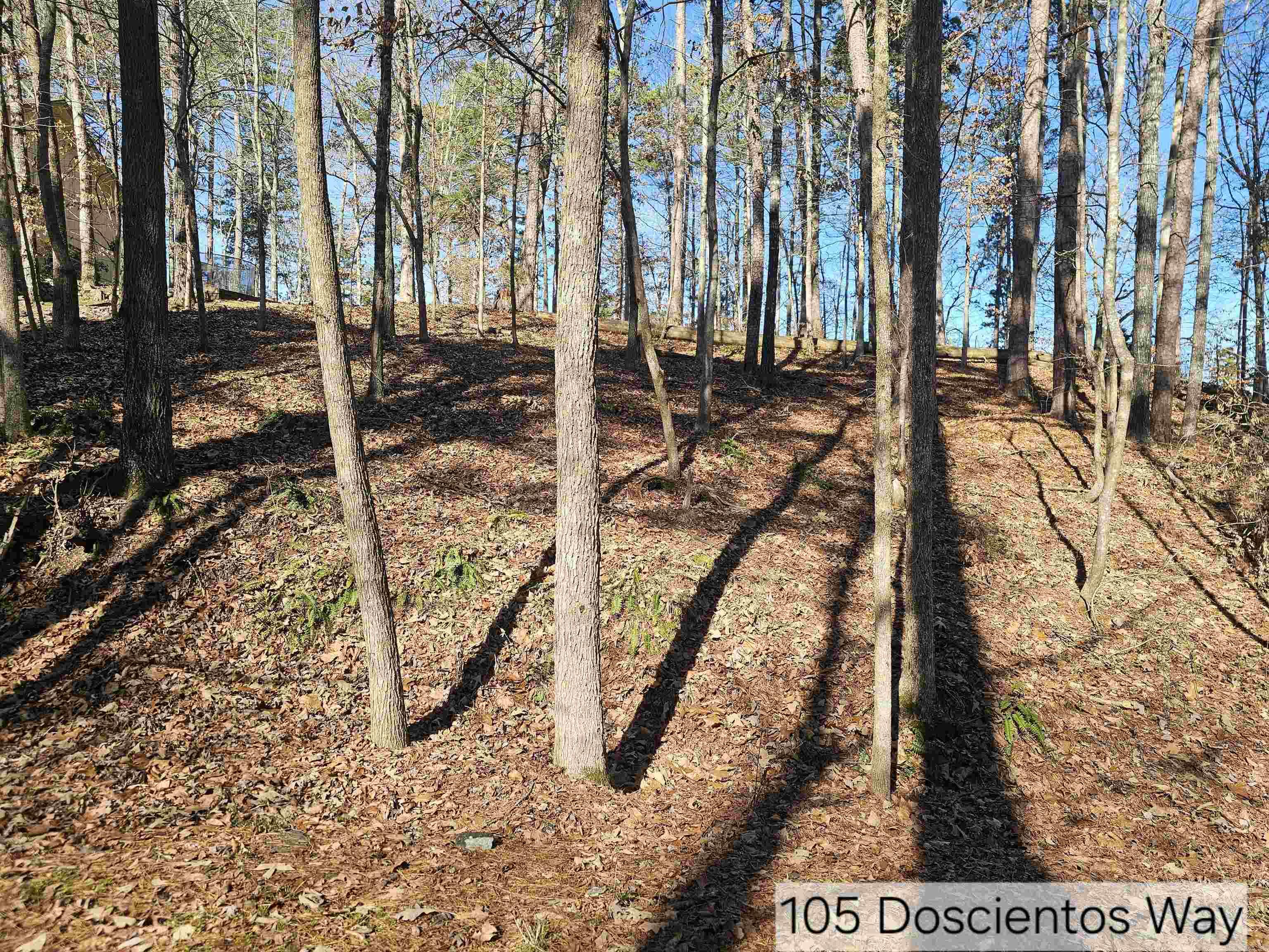 105 Doscientos  Hot Springs Village, AR