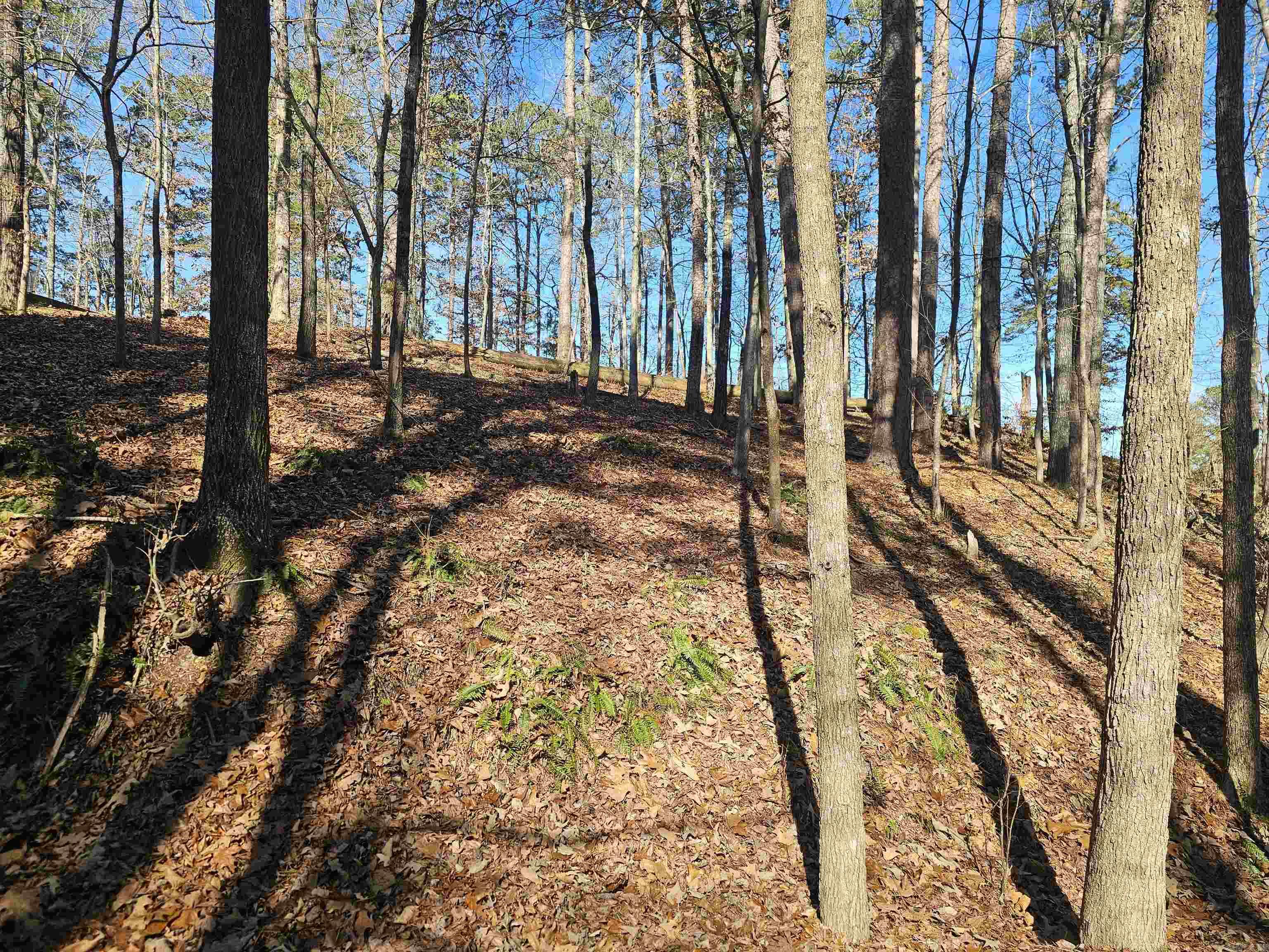 105 Doscientos  Hot Springs Village, AR