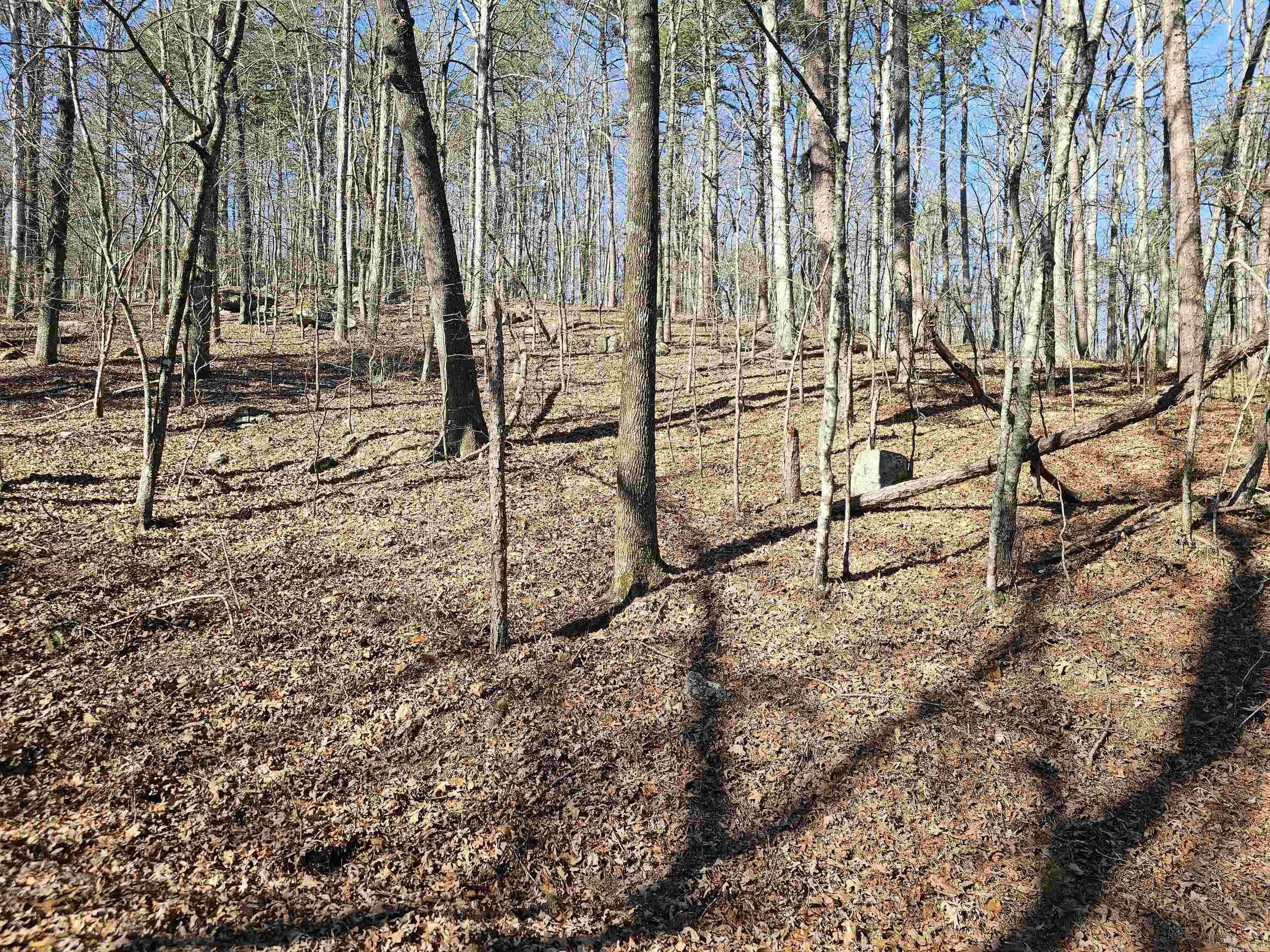 105 Doscientos  Hot Springs Village, AR