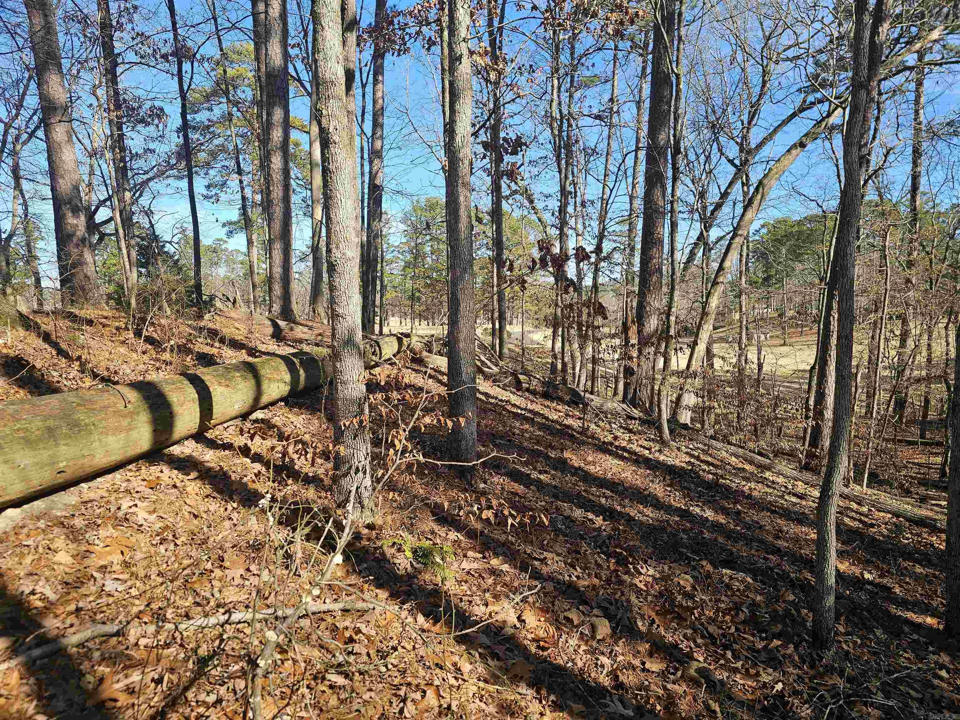 105 Doscientos  Hot Springs Village, AR