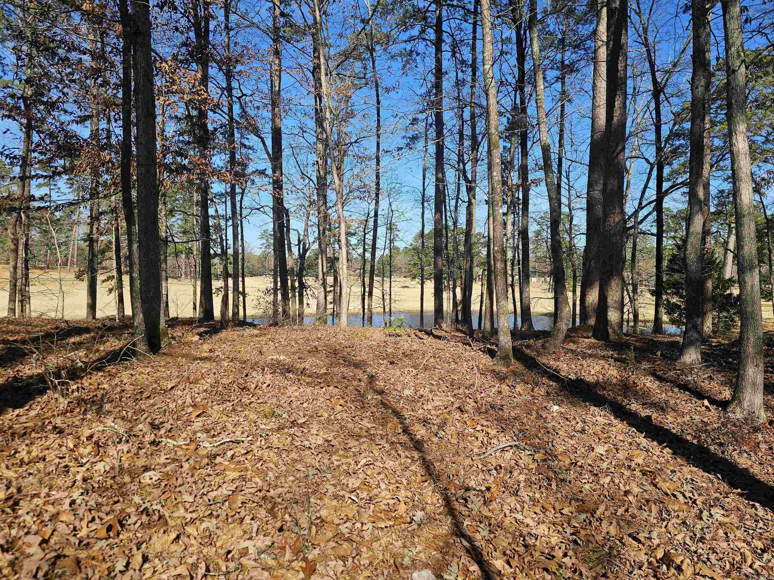 105 Doscientos  Hot Springs Village, AR