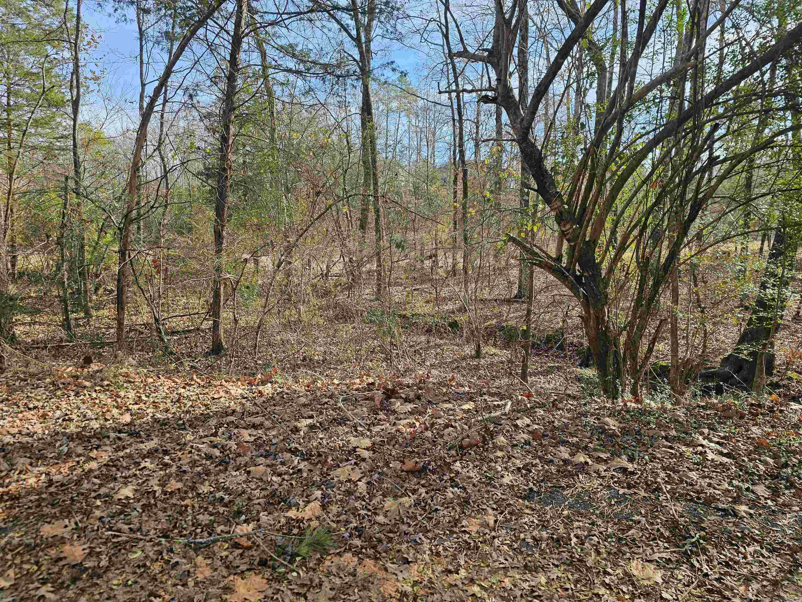 24 Isabella Way  Hot Springs Village, AR