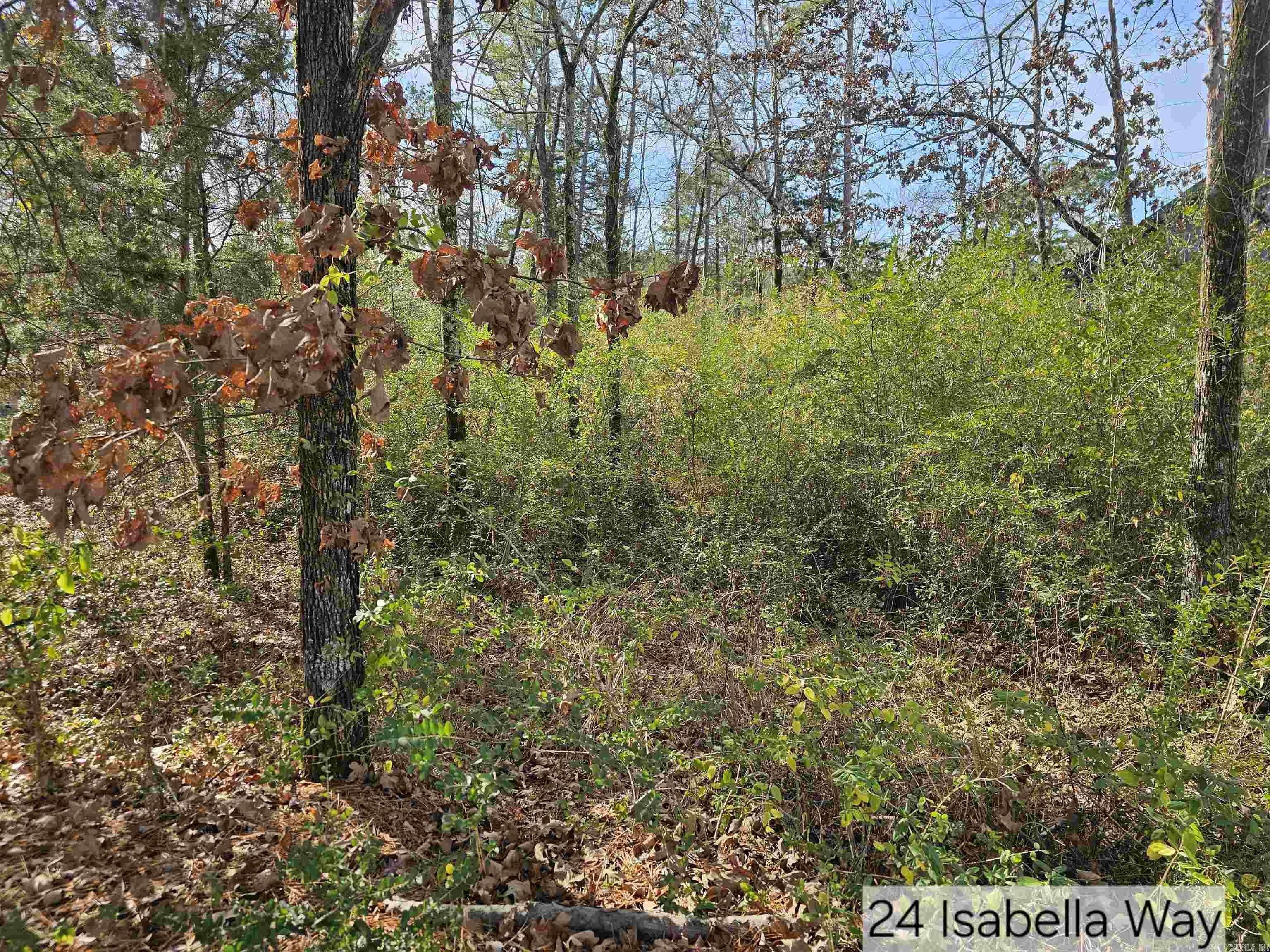 24 Isabella Way  Hot Springs Village, AR