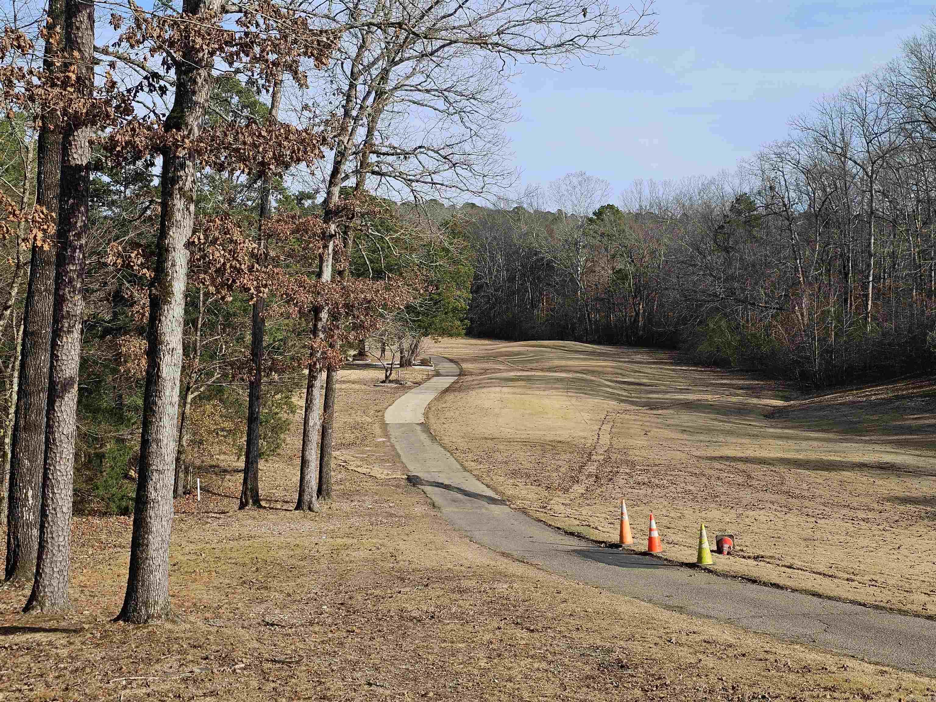 24 Isabella Way  Hot Springs Village, AR