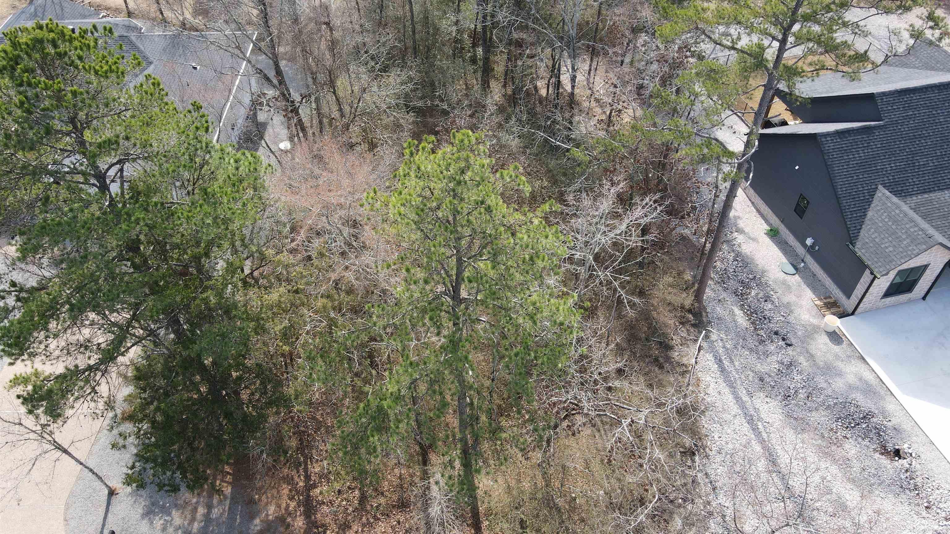 24 Isabella Way  Hot Springs Village, AR