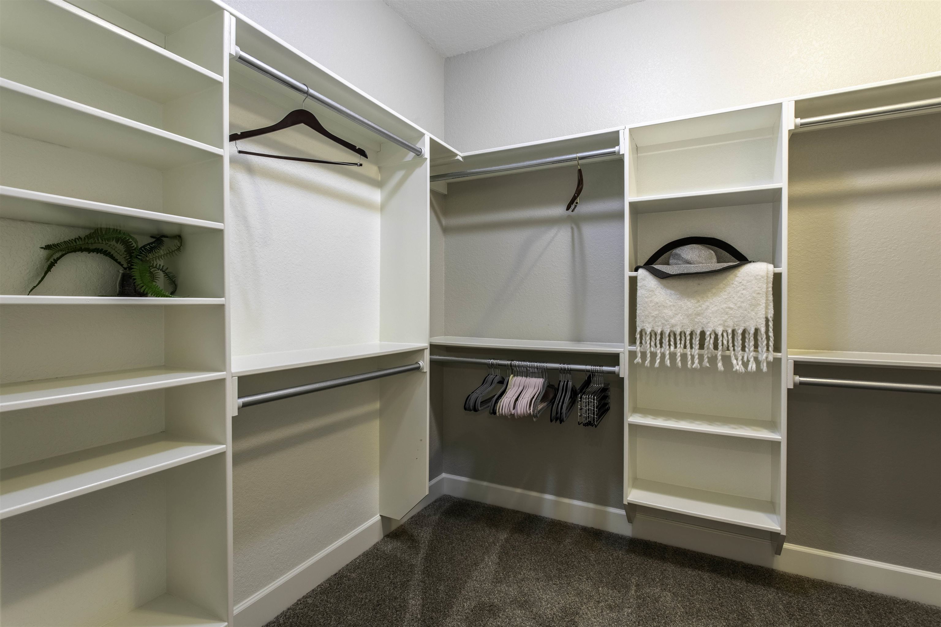 3112 Harrison Hills  Jonesboro, AR