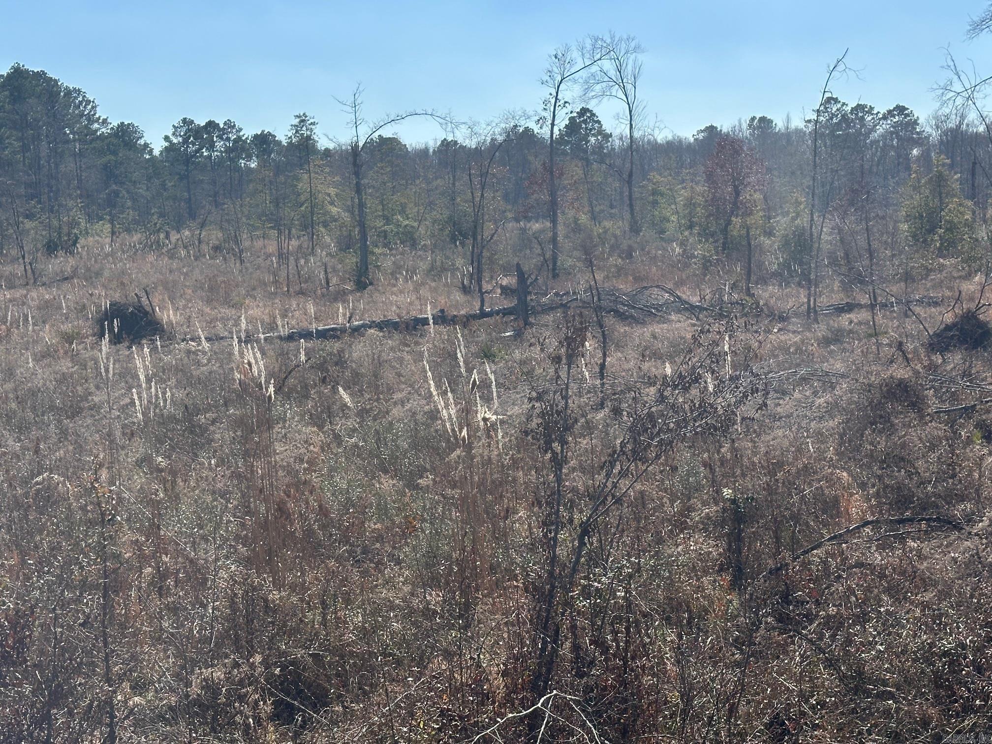  HWY 8  Fountain Hill, AR