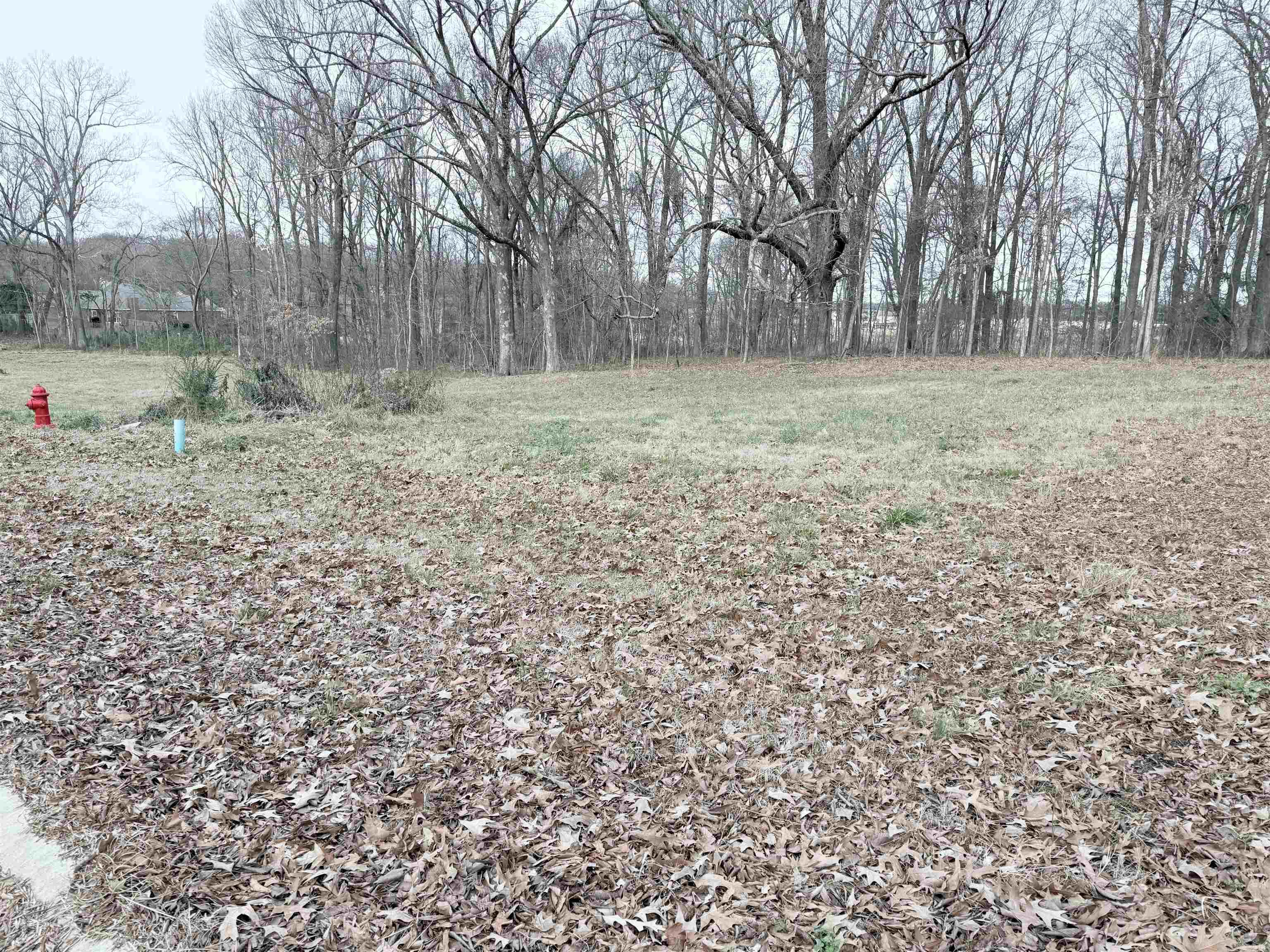 1706 Roleson Lane  Jonesboro, AR