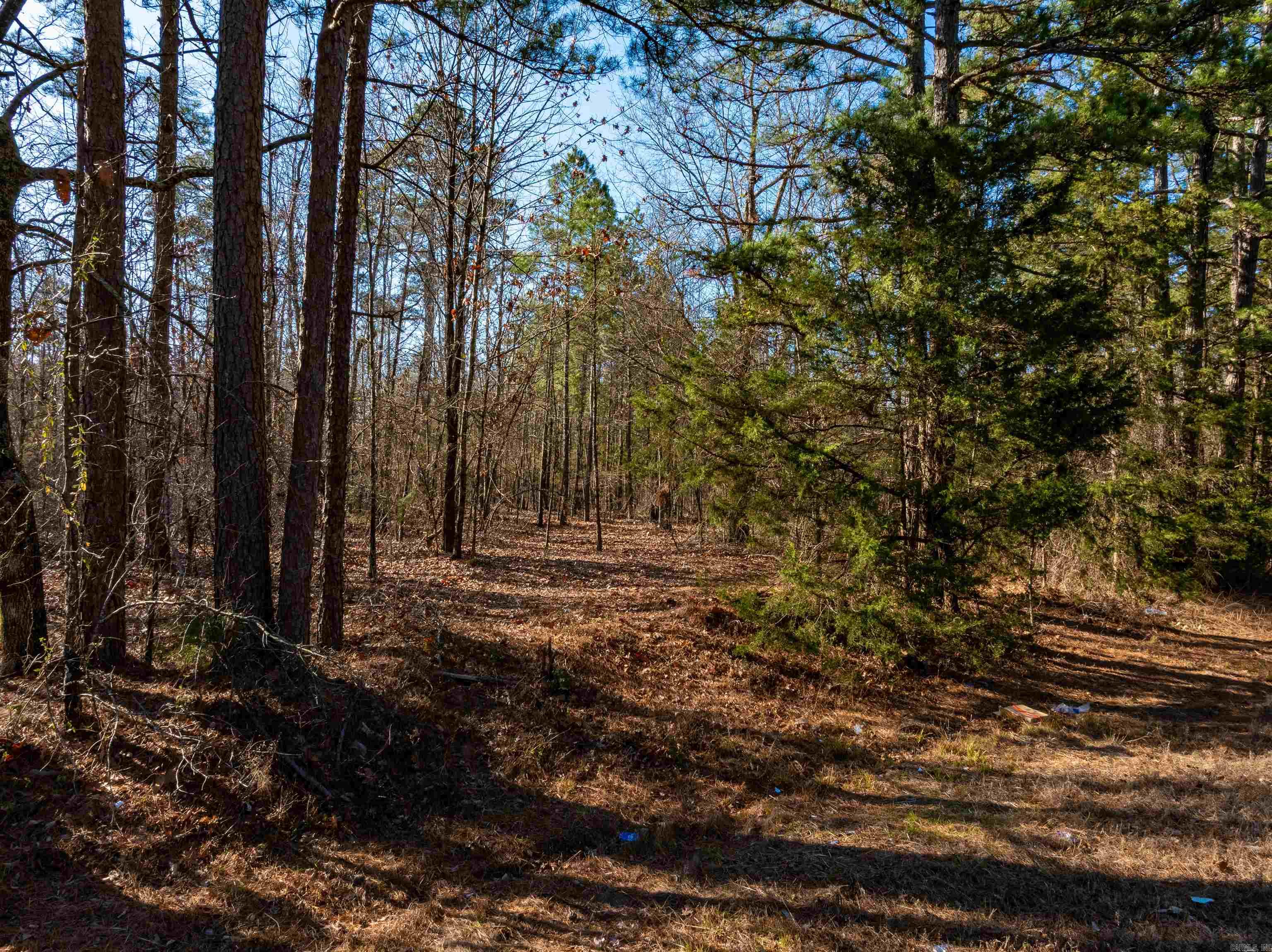 0 Edgemont Rd  Shirley, AR