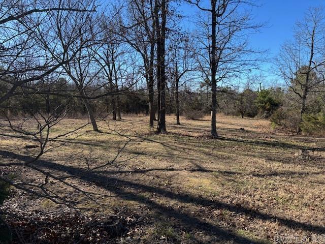 257 Marion County 5006  Bruno, AR