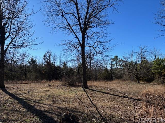 257 Marion County 5006  Bruno, AR