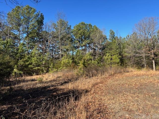 257 Marion County 5006  Bruno, AR