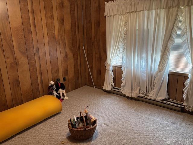 257 Marion County 5006  Bruno, AR