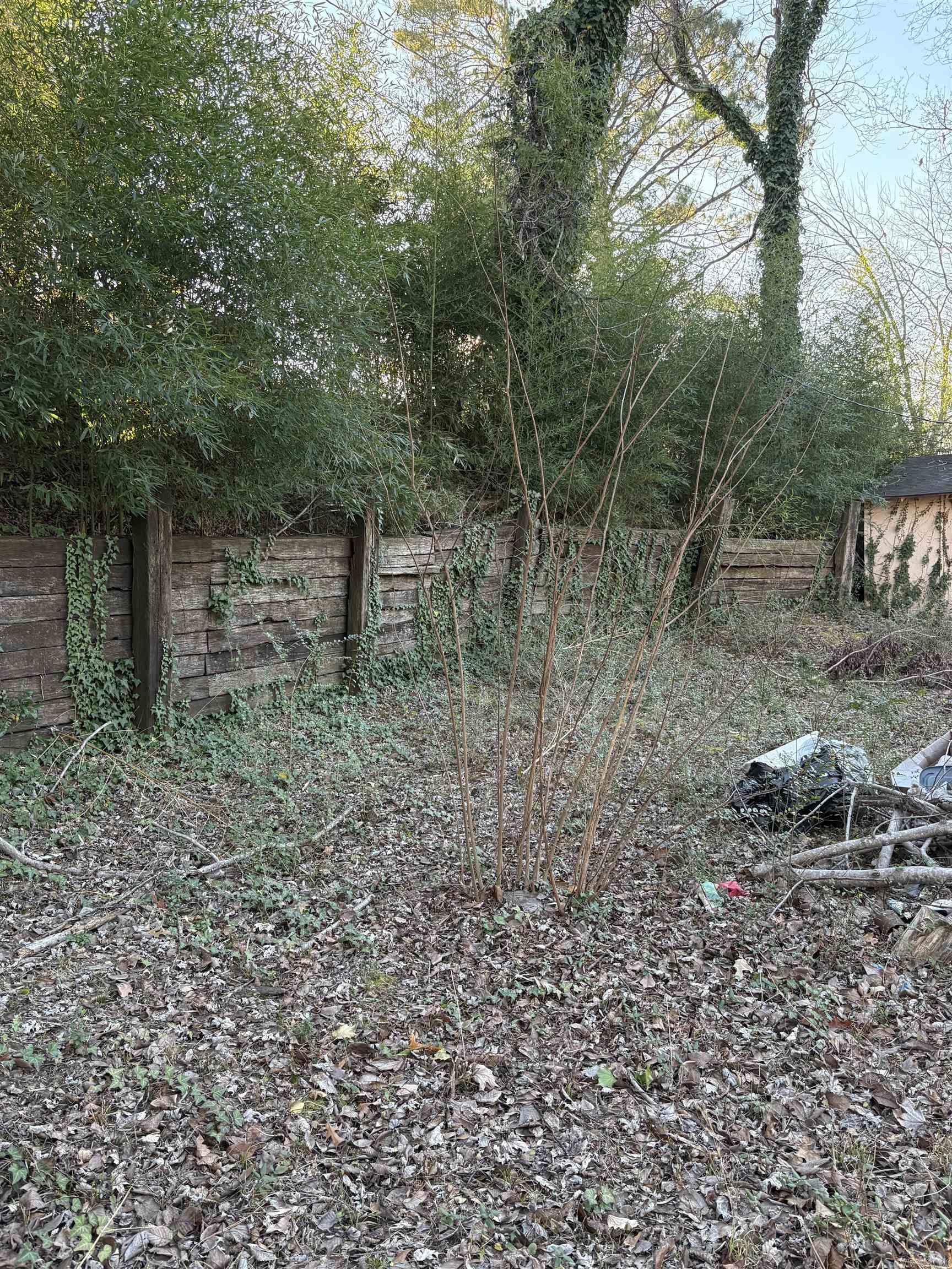 725 Saint Regis  West Helena, AR