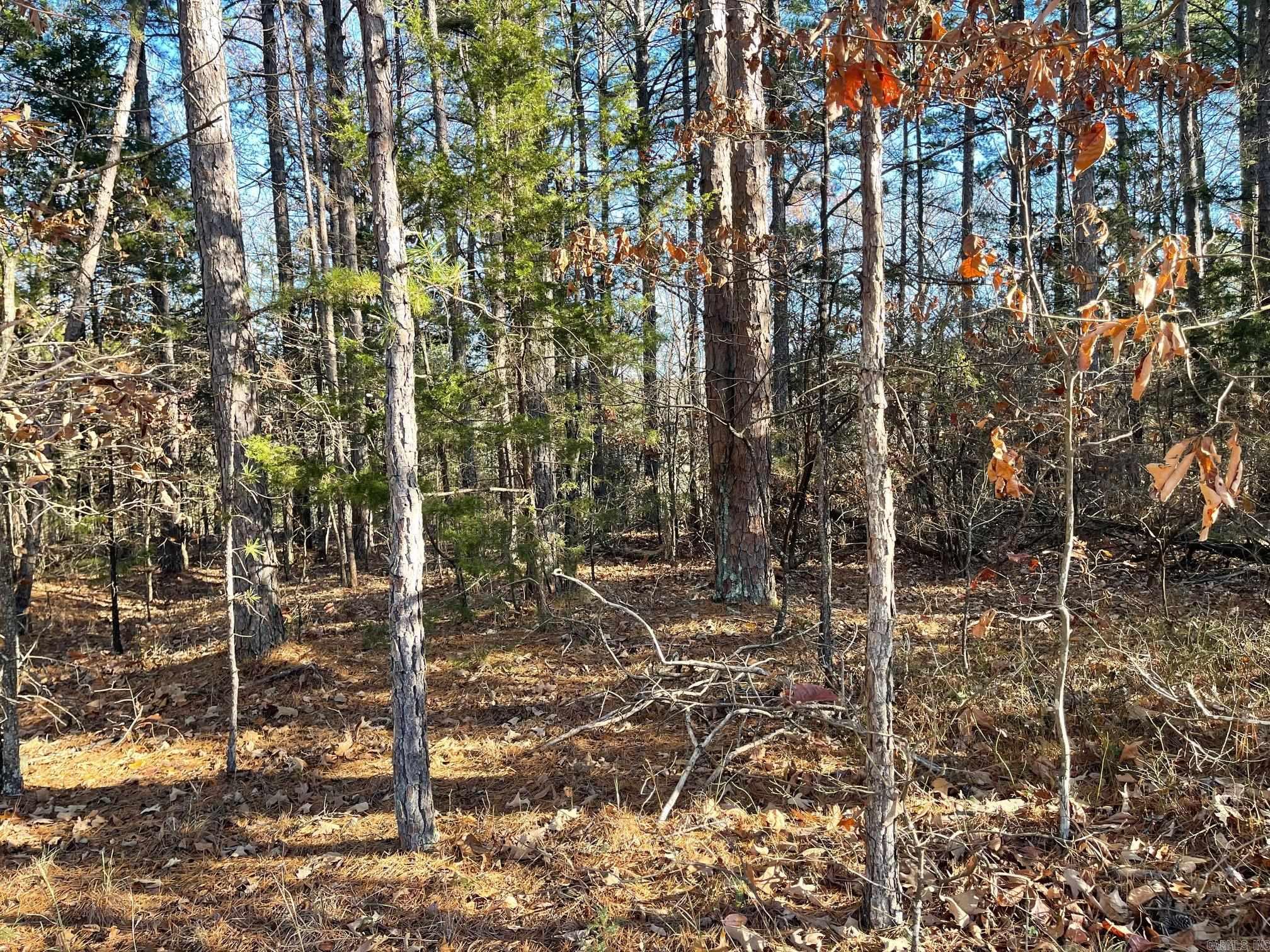 Lot 38R Block 3 Mountain Ranch  Fairfield Bay, AR