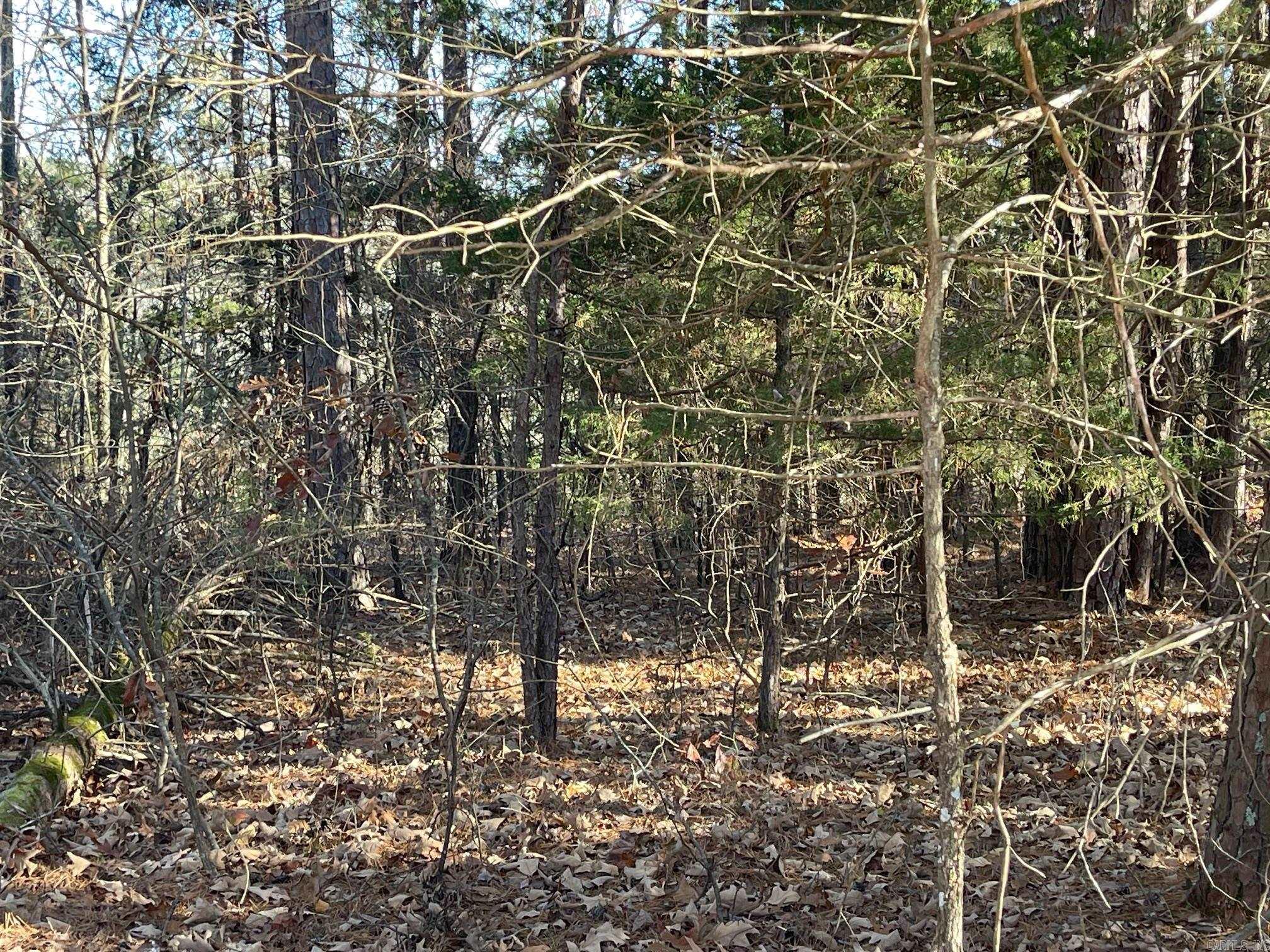 Lot 38R Block 3 Mountain Ranch  Fairfield Bay, AR