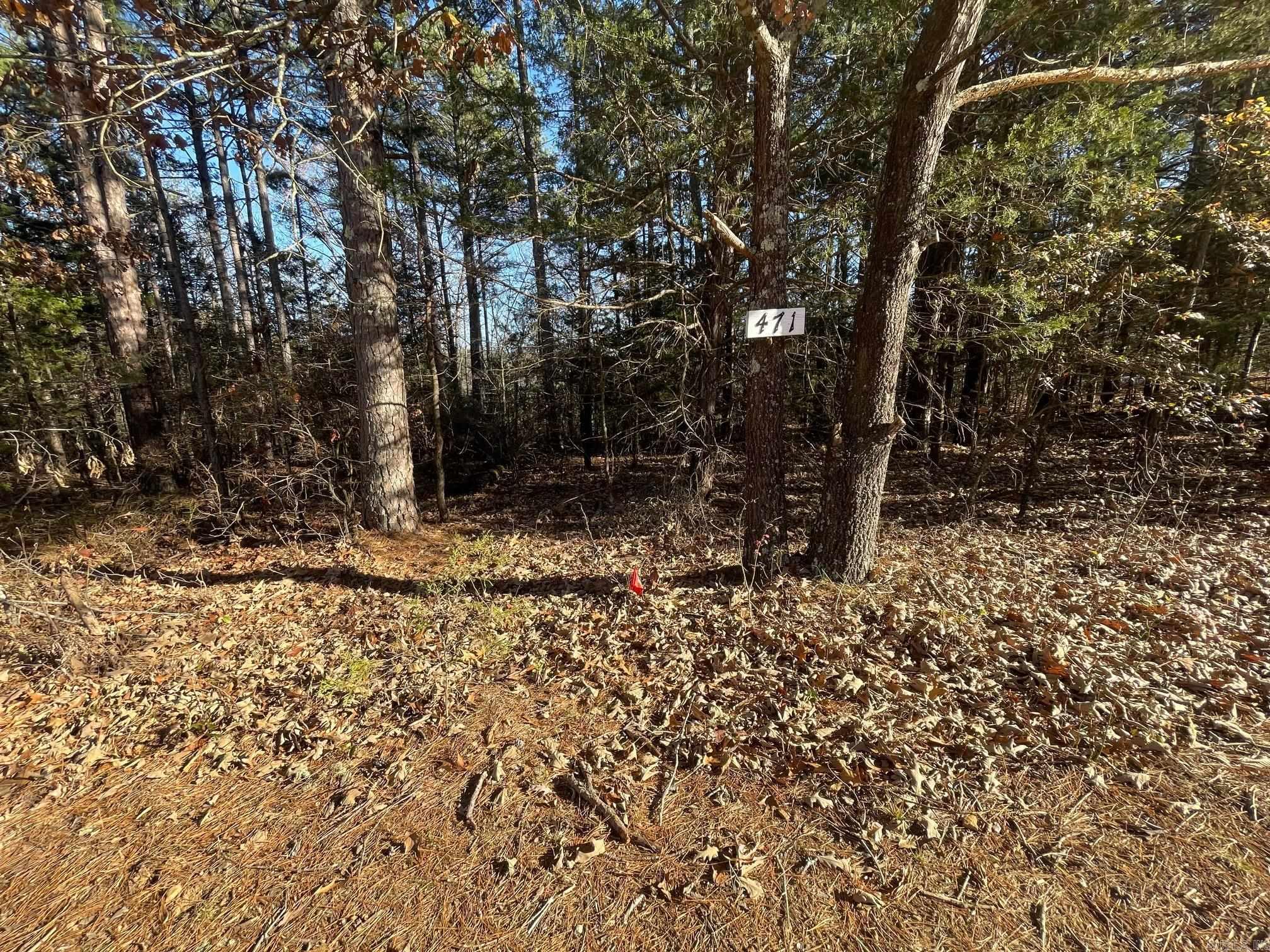 Lot 38R Block 3 Mountain Ranch  Fairfield Bay, AR