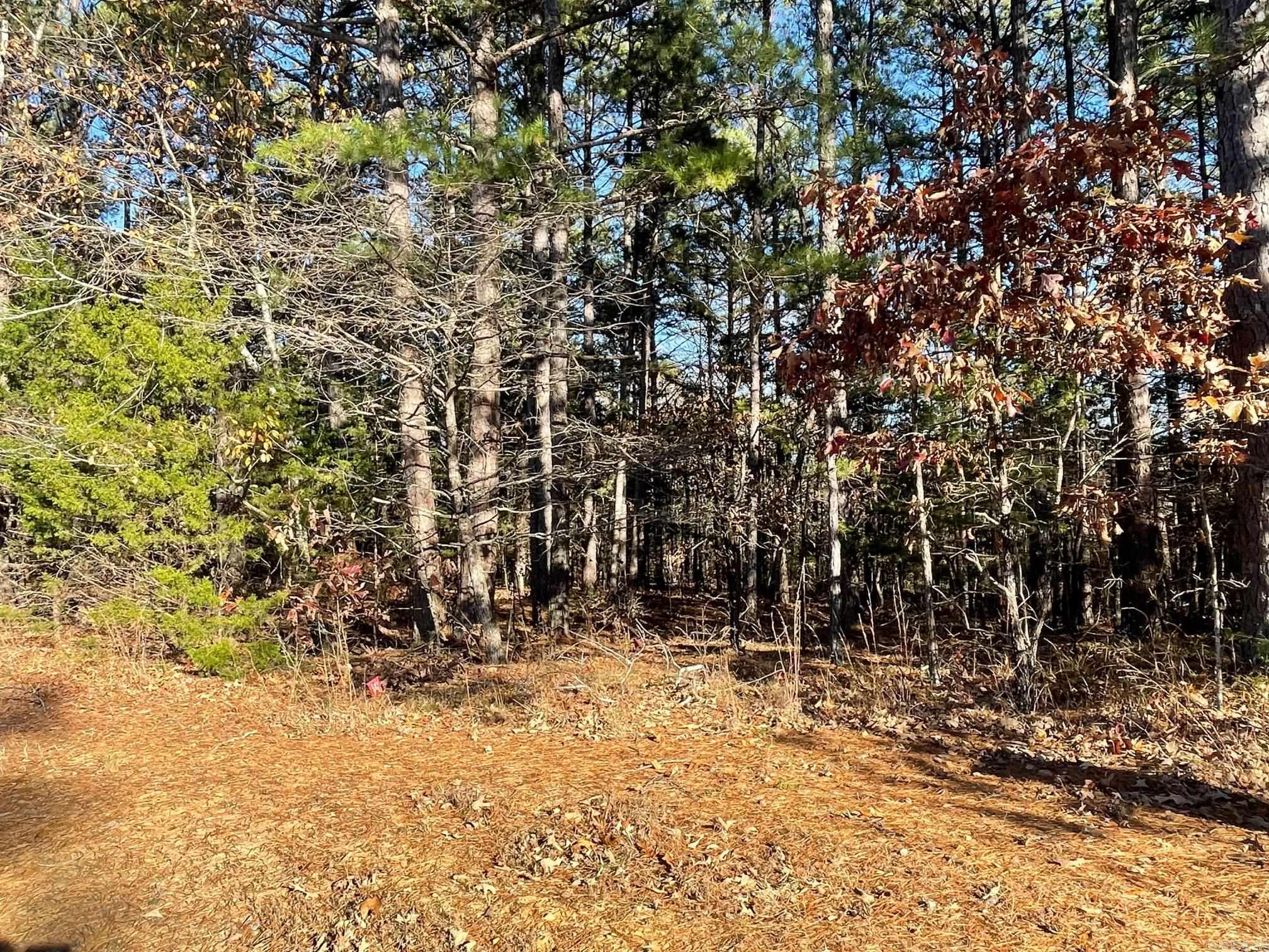 Lot 38R Block 3 Mountain Ranch  Fairfield Bay, AR