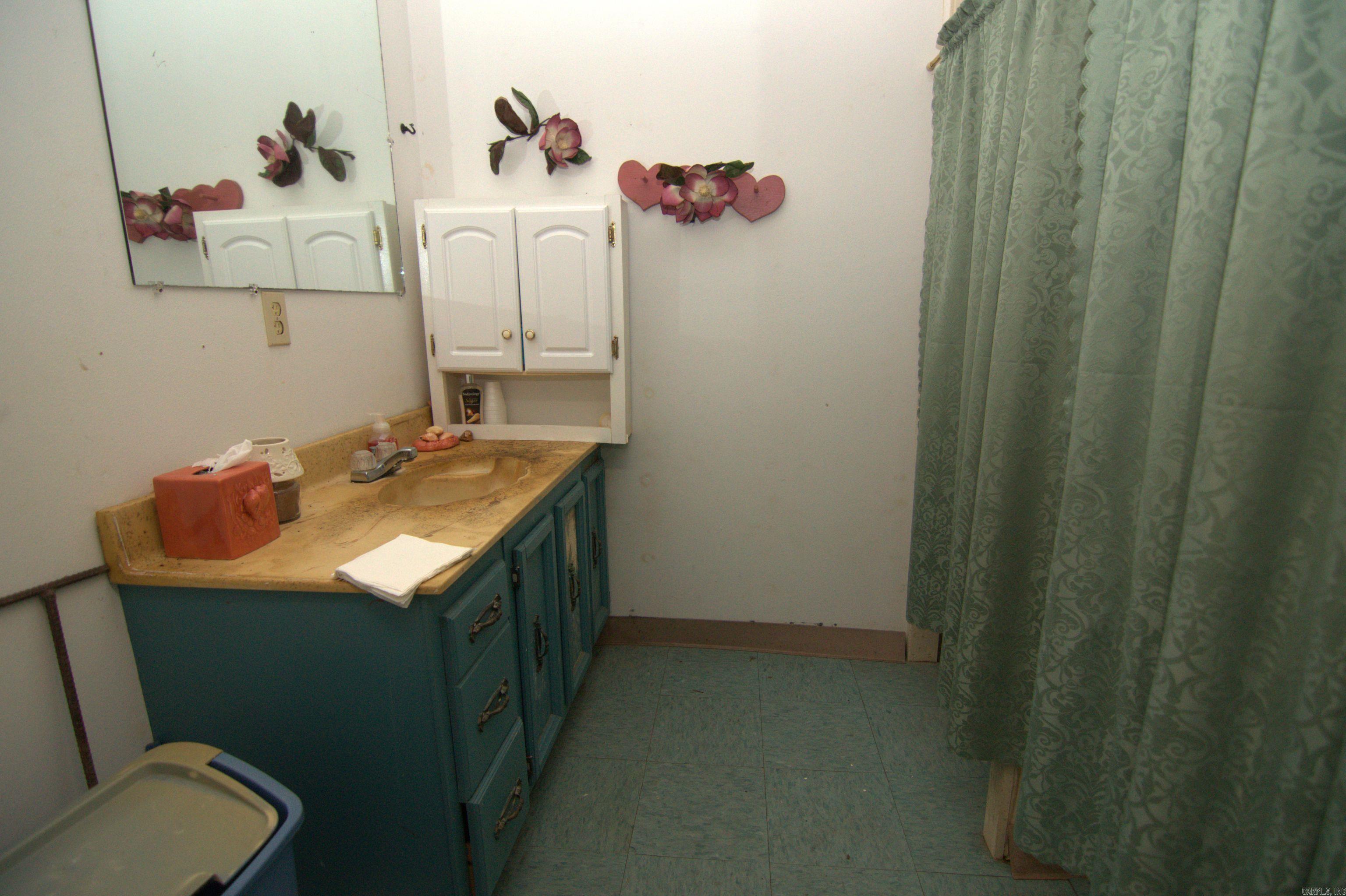 29 Beaver Creek  Roland, AR