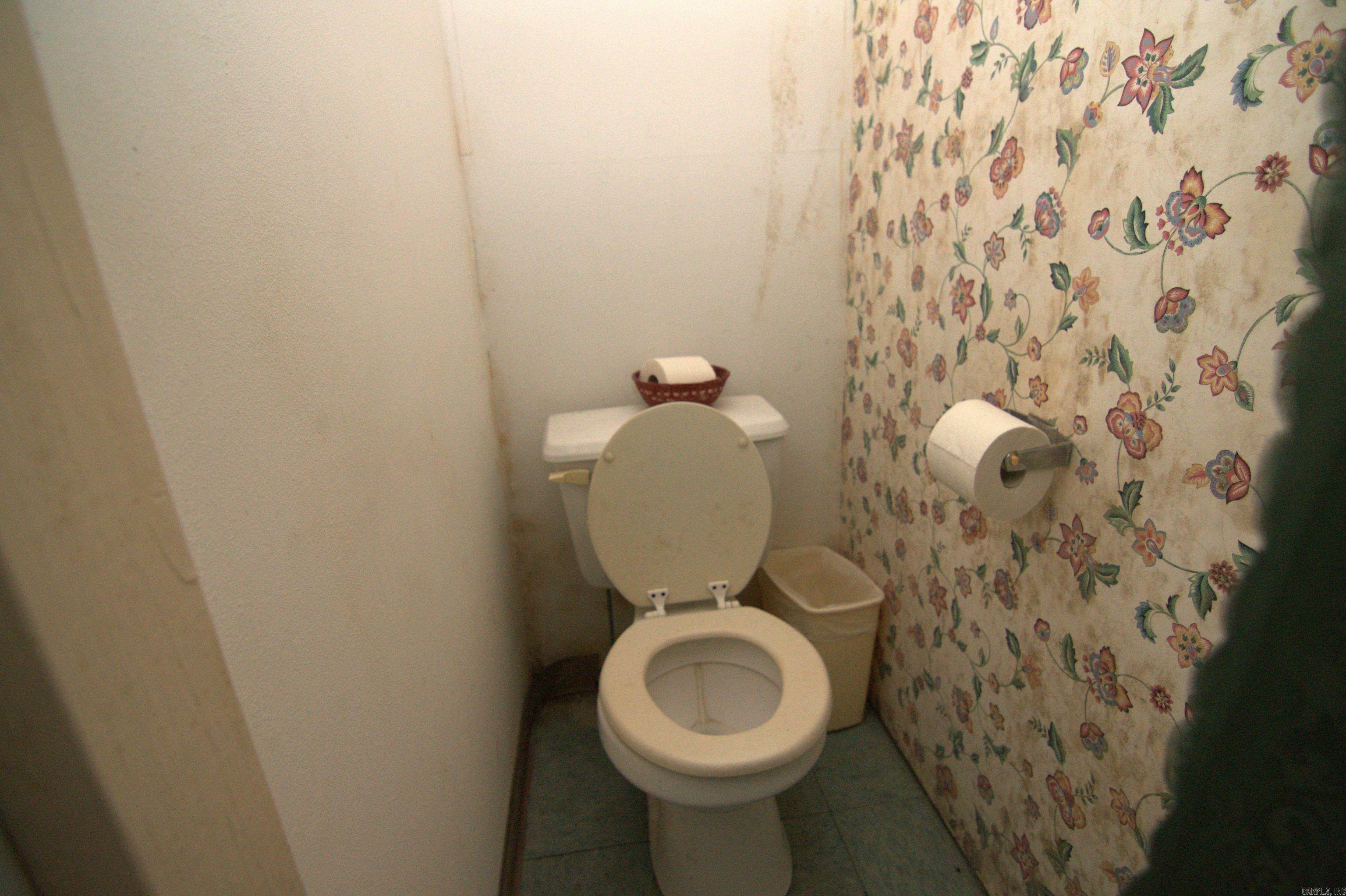 29 Beaver Creek  Roland, AR