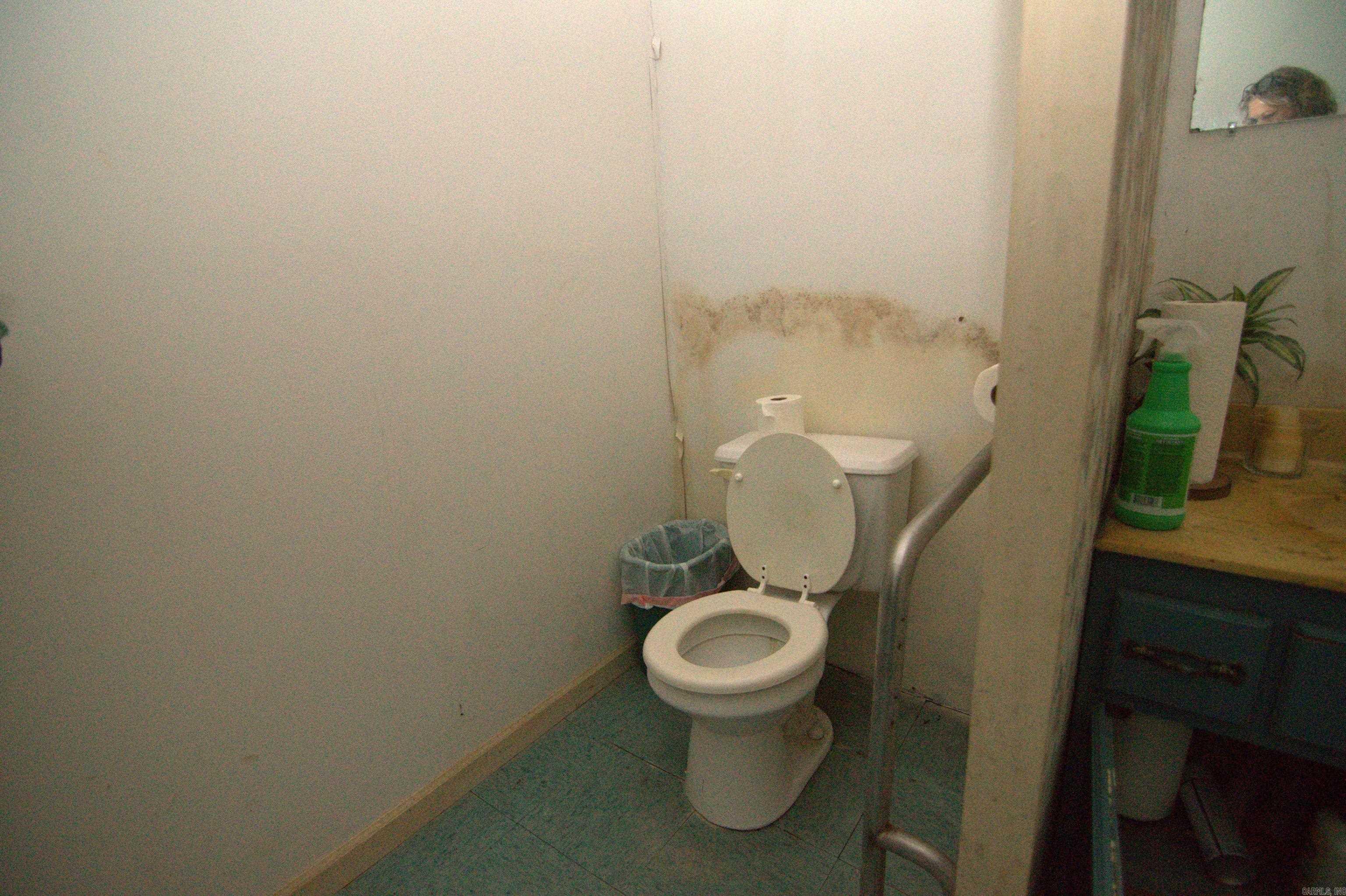 29 Beaver Creek  Roland, AR