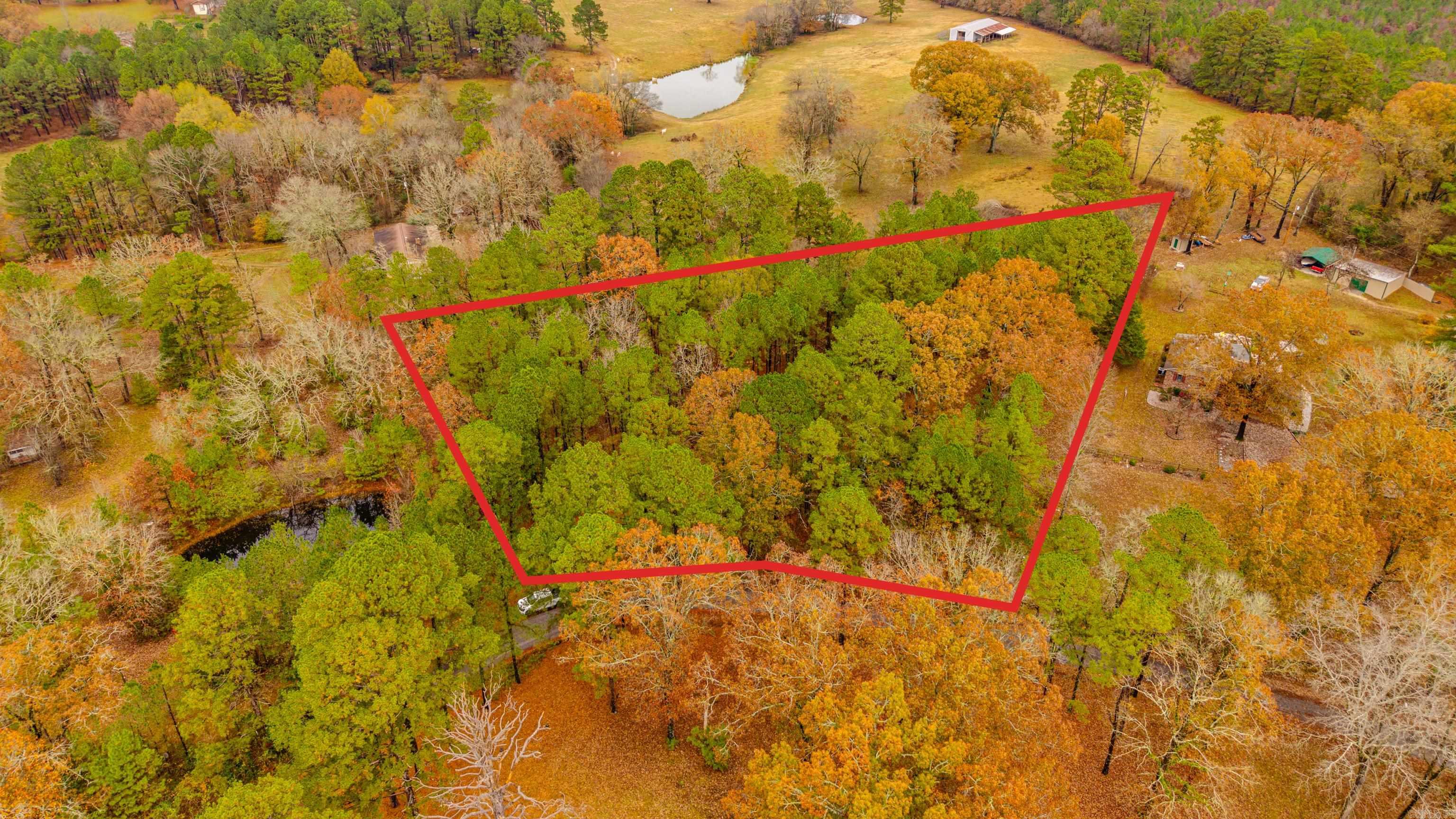 XXX Odell  Bismarck, AR