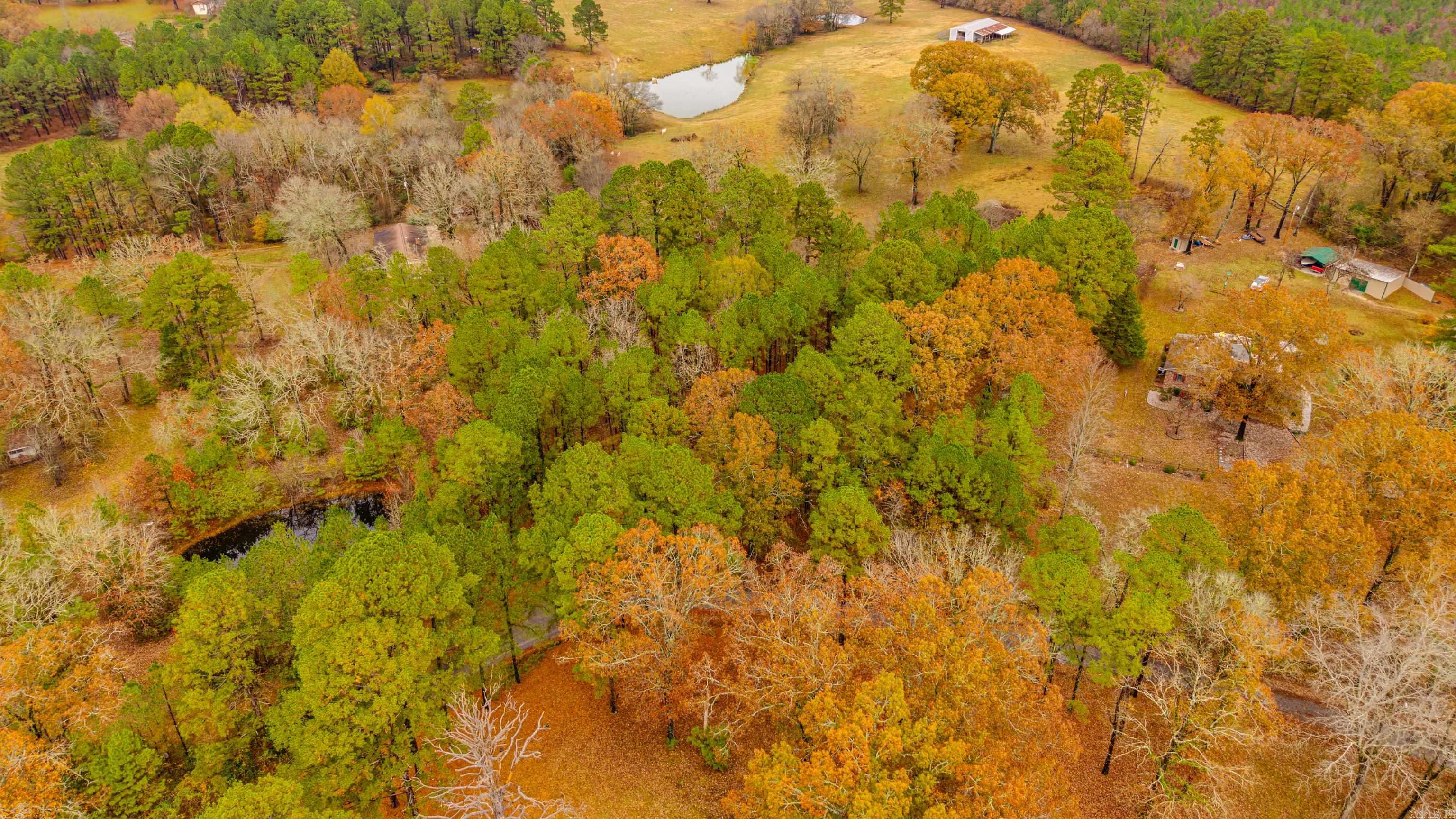 XXX Odell  Bismarck, AR