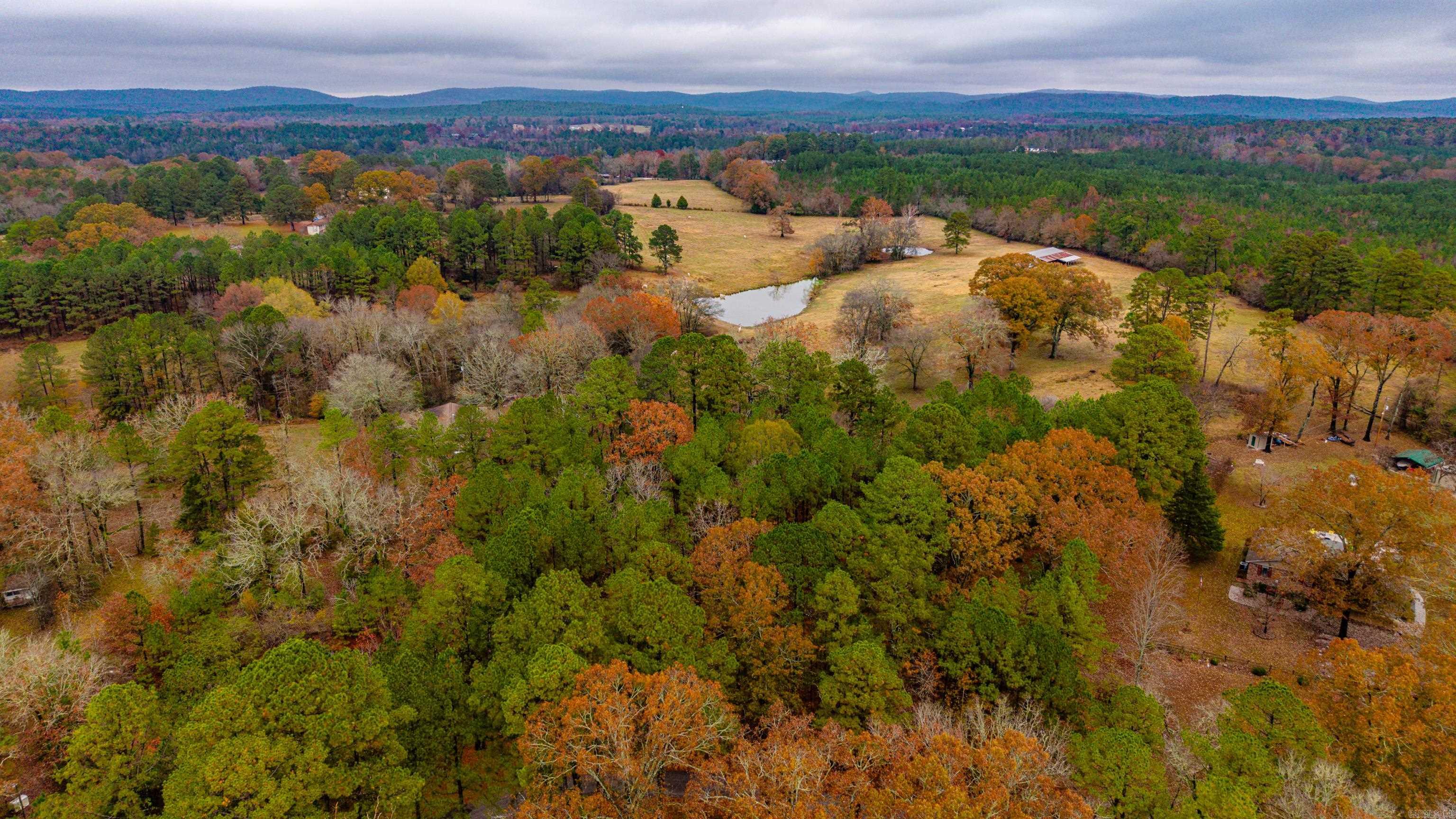 XXX Odell  Bismarck, AR