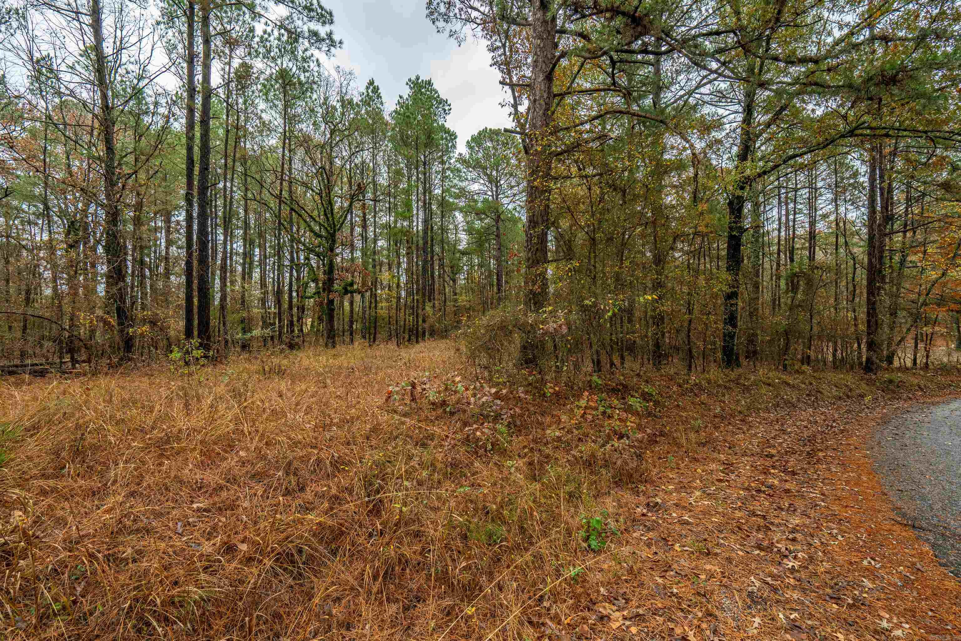 XXX Odell  Bismarck, AR