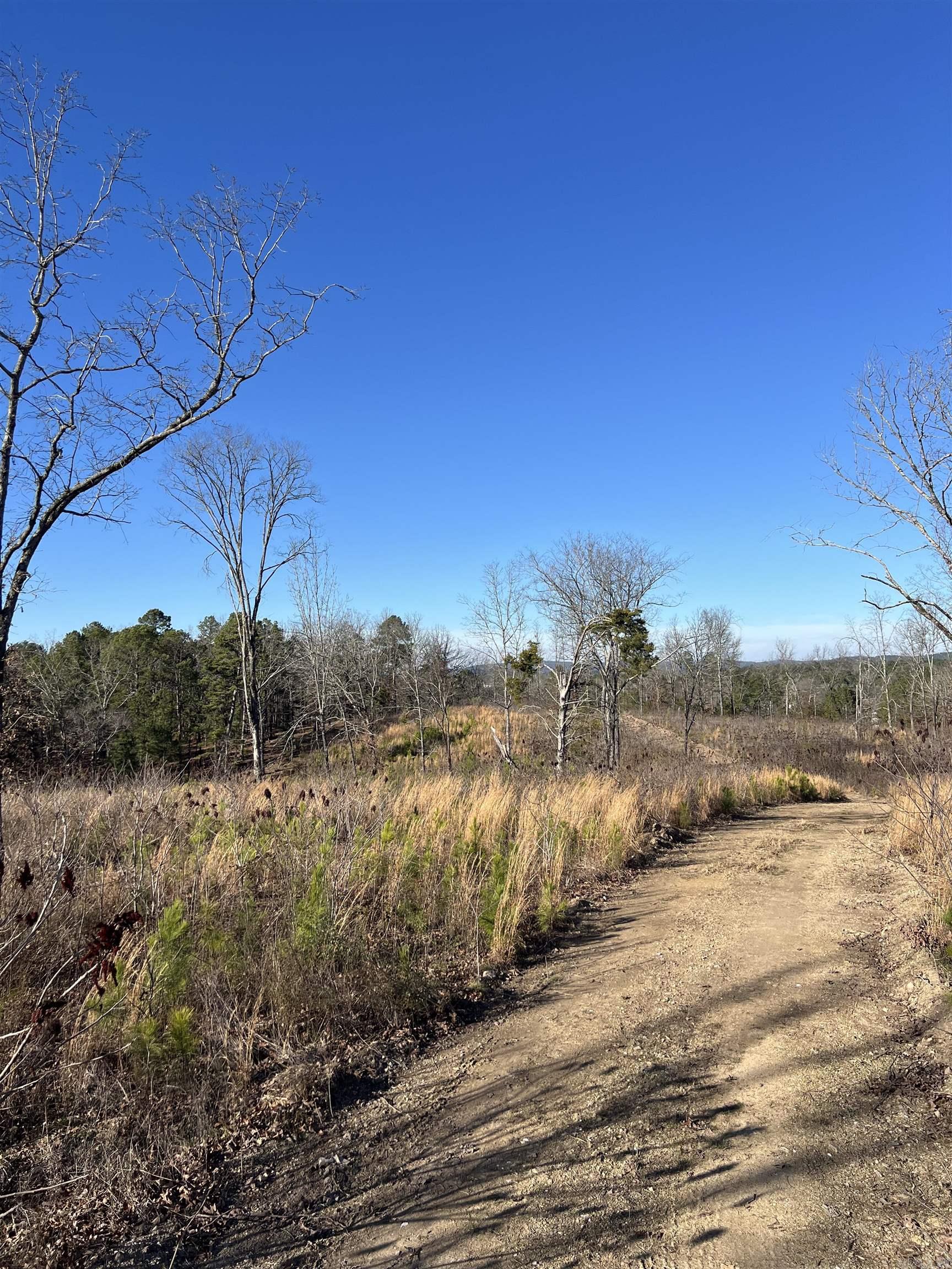 TBD Stardust  Hot Springs, AR