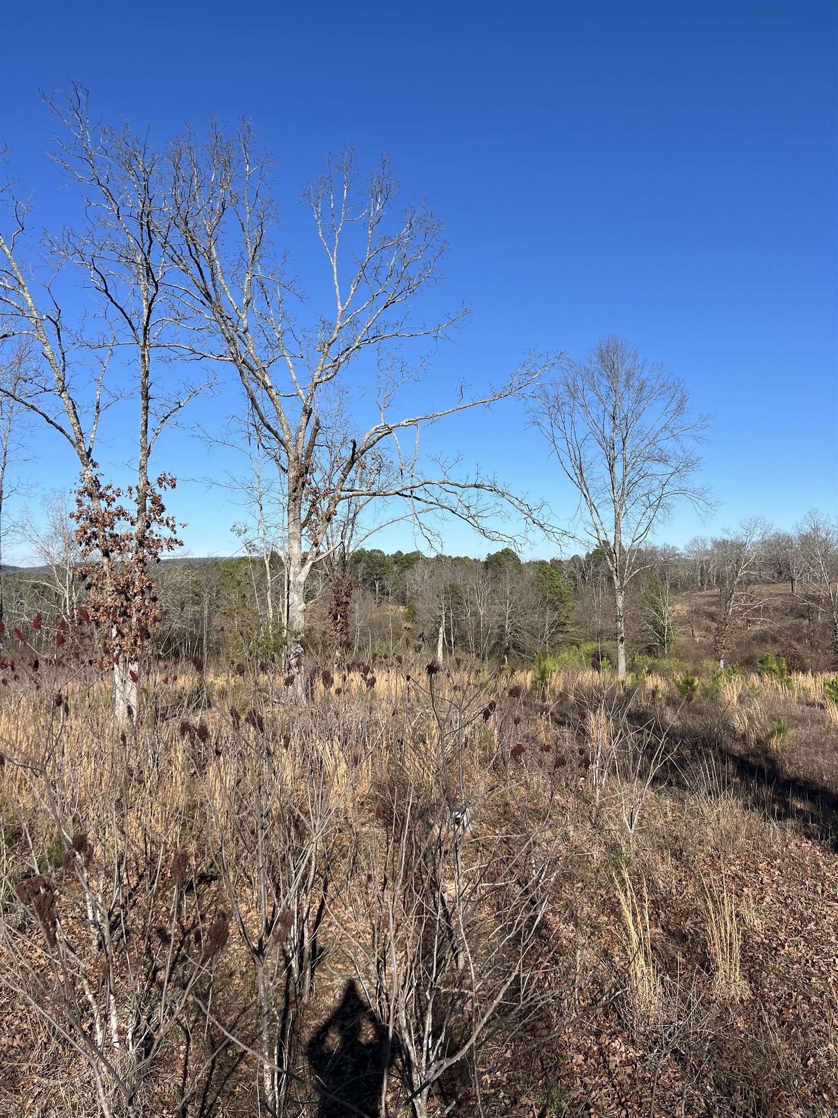 TBD Stardust  Hot Springs, AR