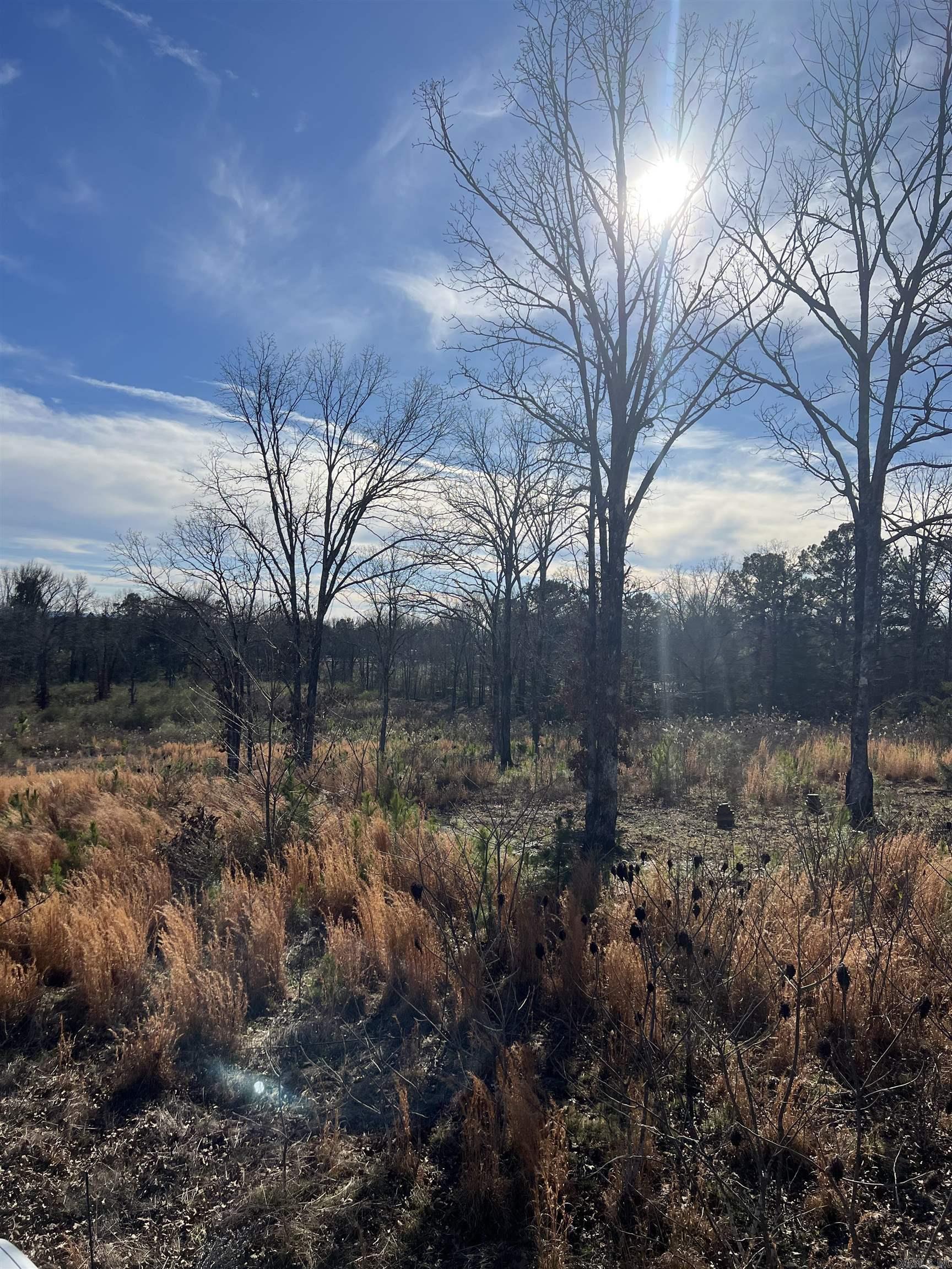 TBD Stardust  Hot Springs, AR