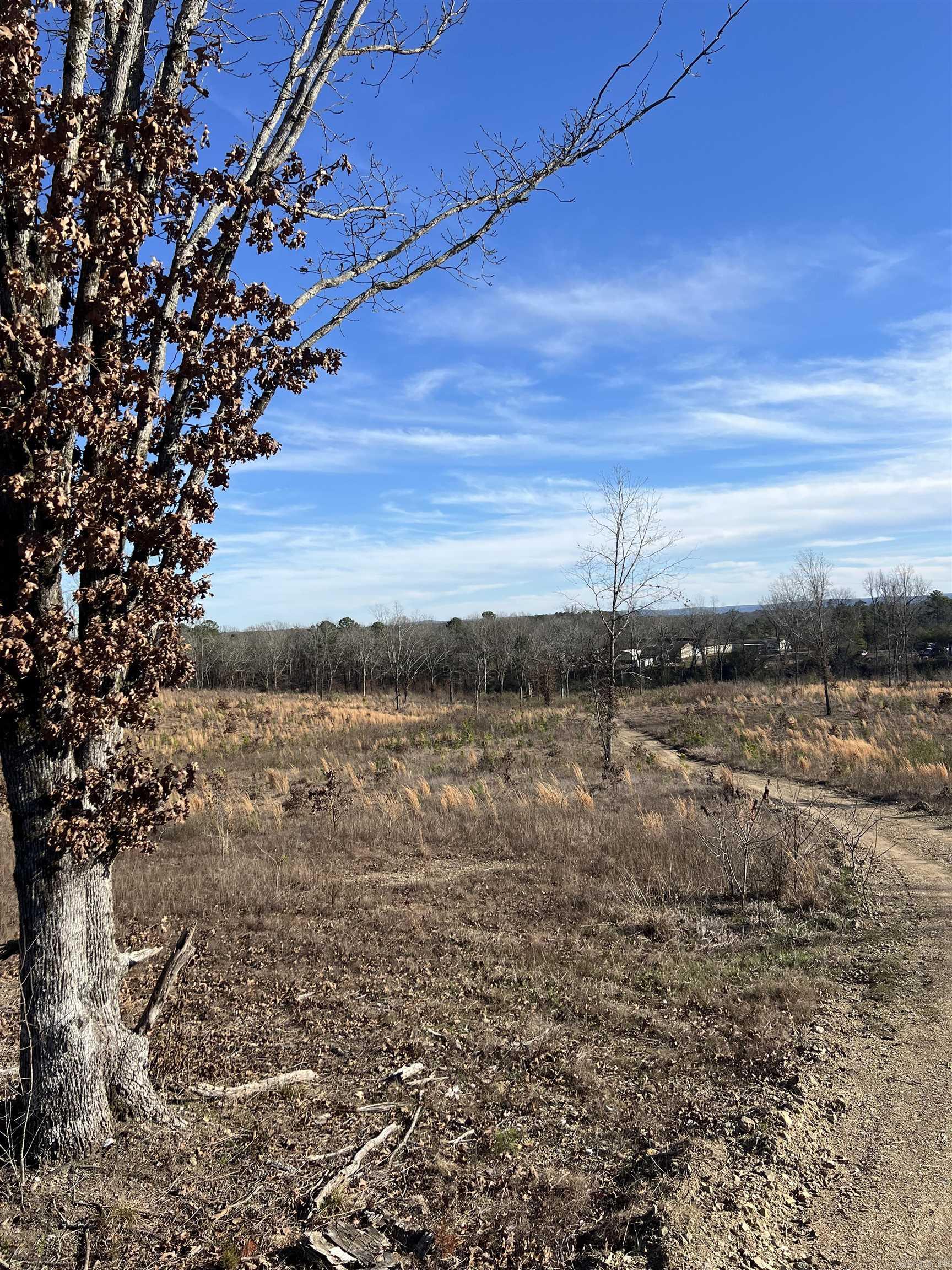 TBD Stardust  Hot Springs, AR