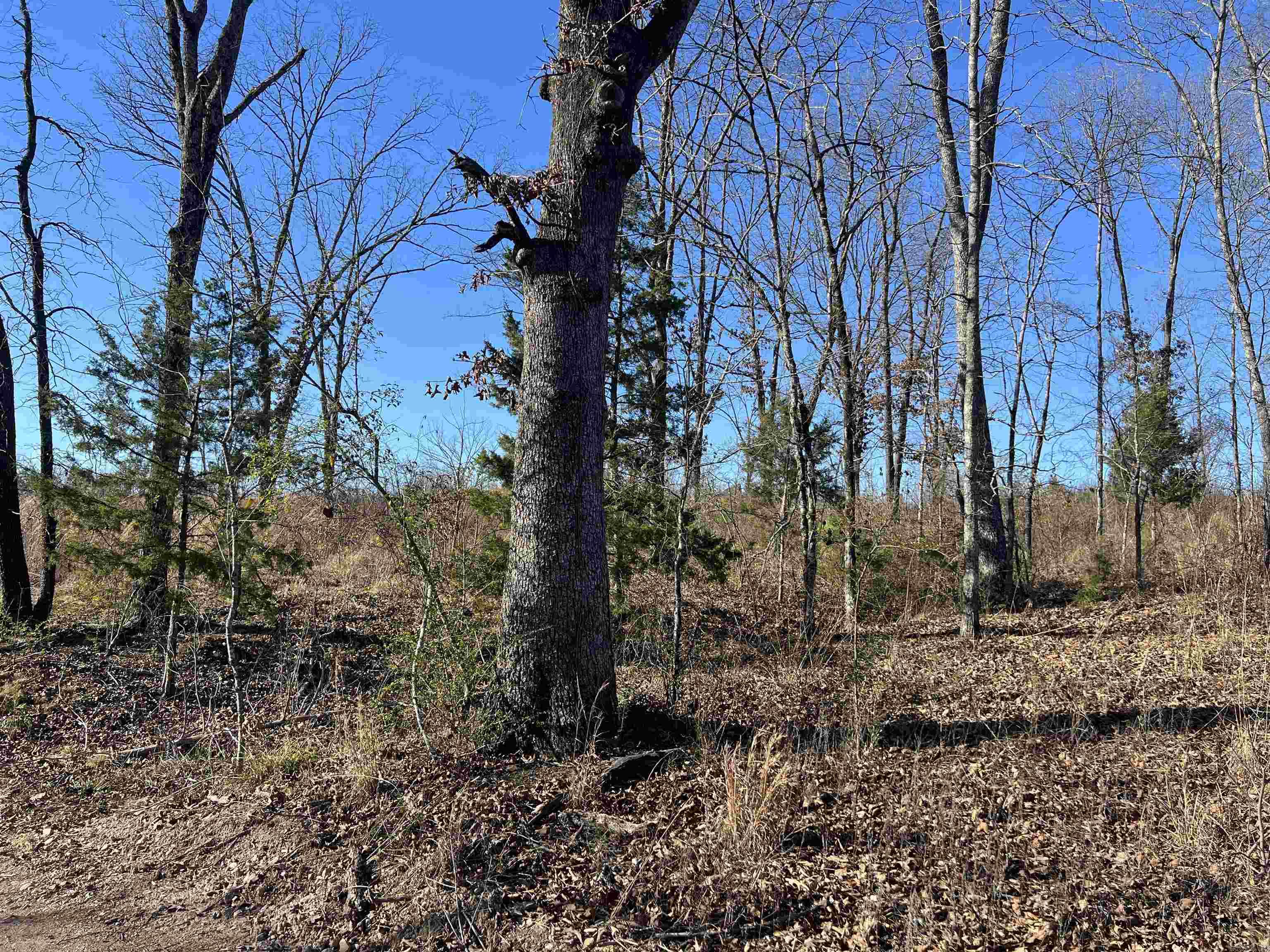 TBD Stardust  Hot Springs, AR