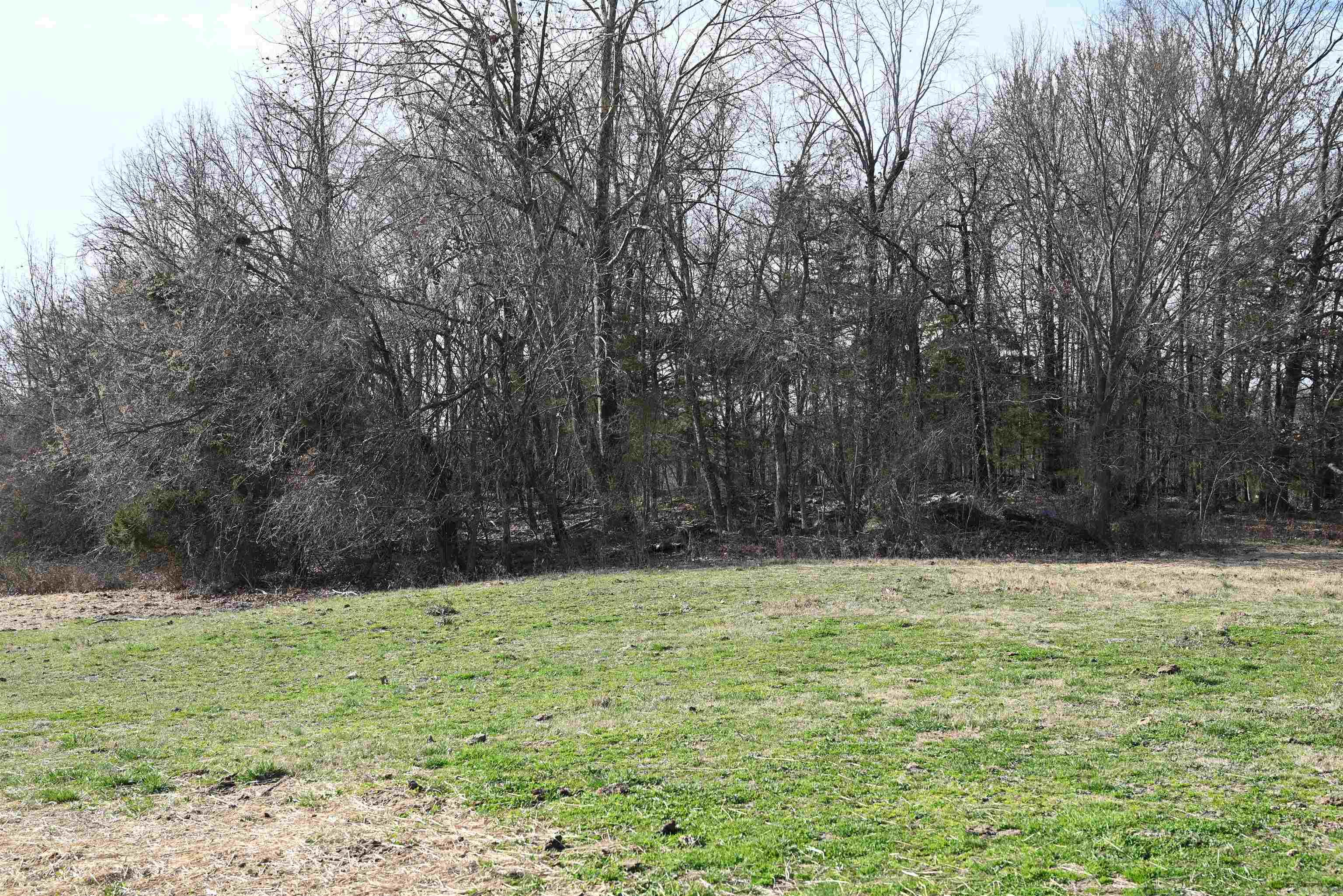 1600 ECLIPSE Road Saint Joe, AR 72675