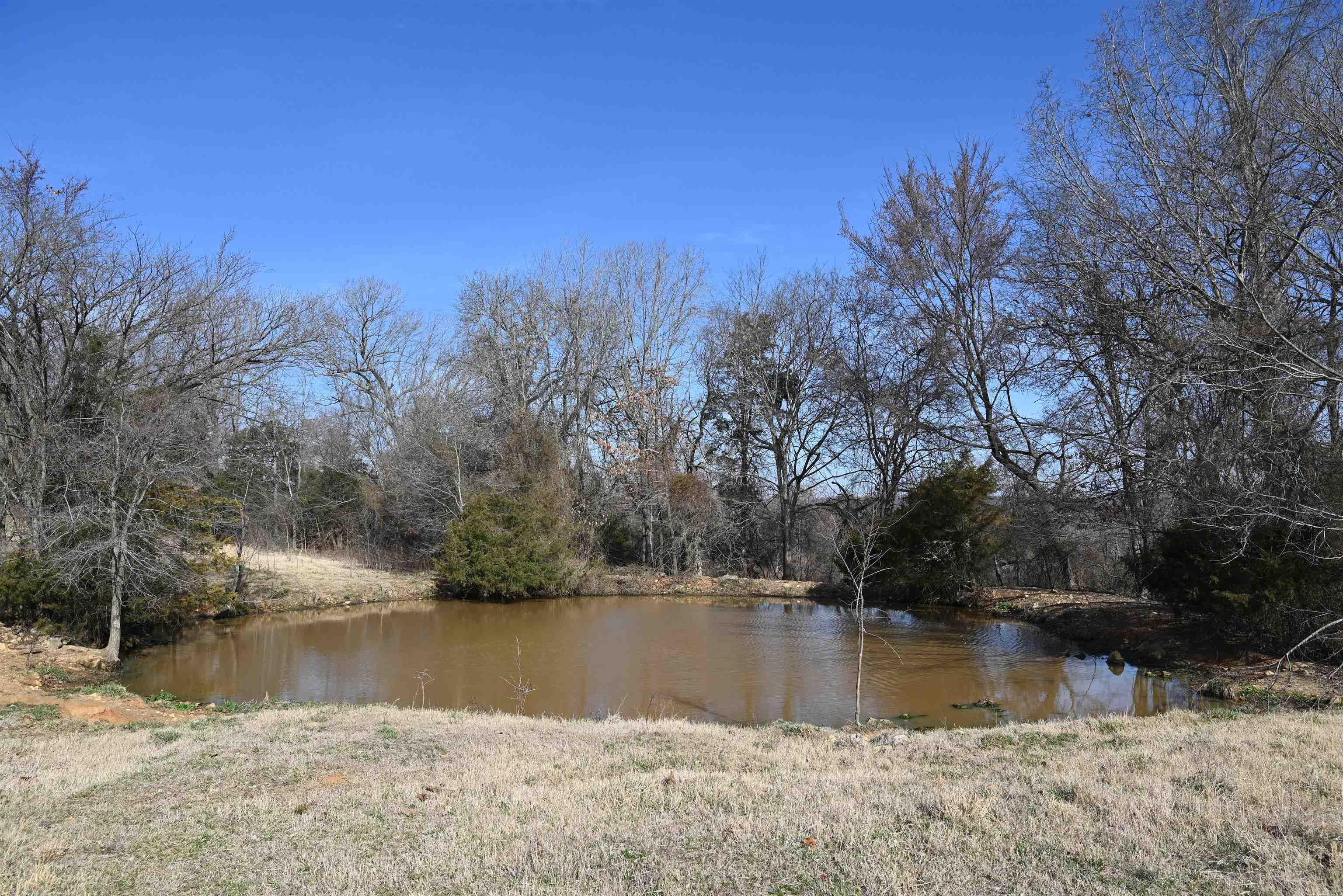 1600 ECLIPSE Road Saint Joe, AR 72675