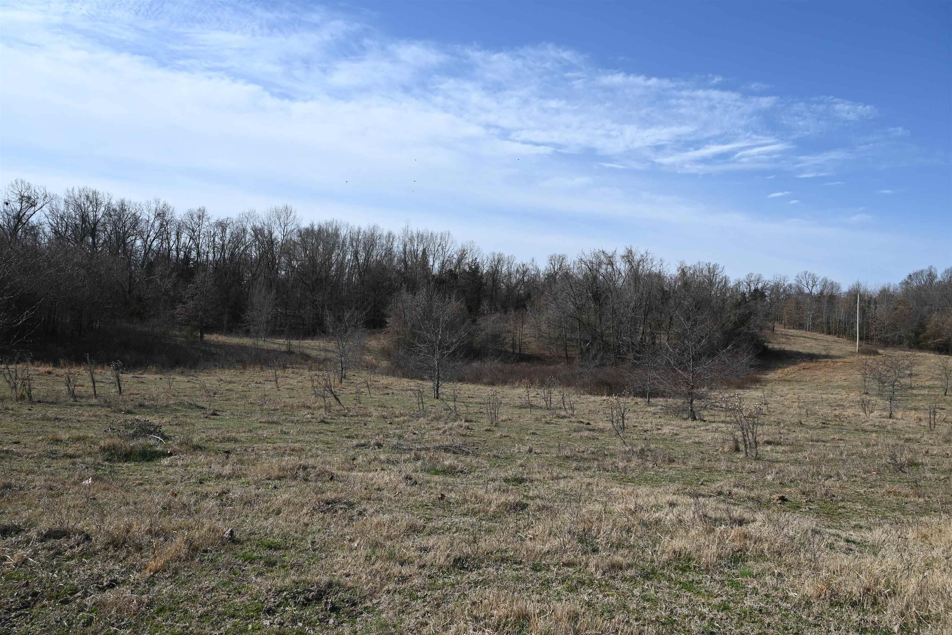 1600 ECLIPSE Road Saint Joe, AR 72675