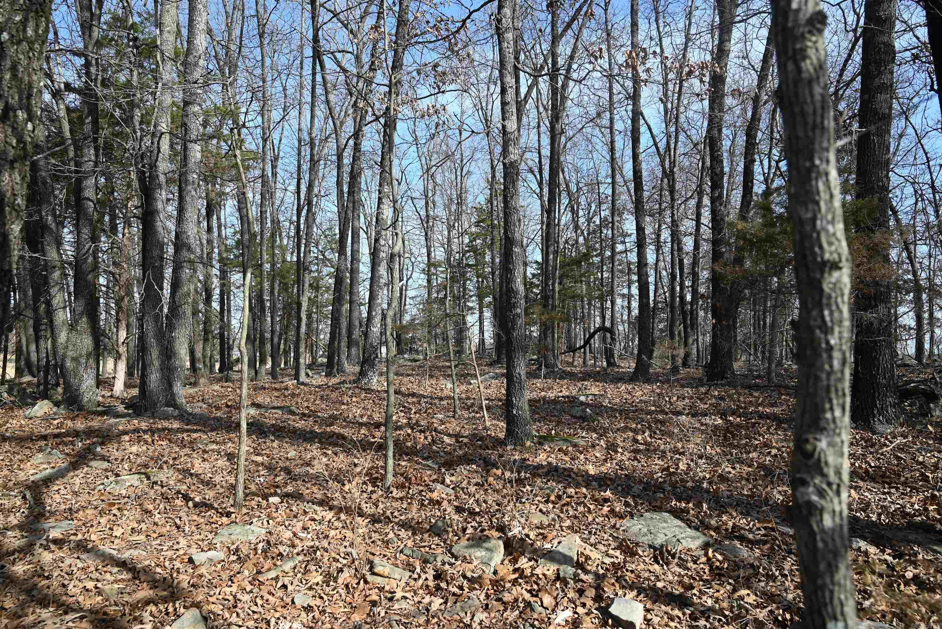 1600 ECLIPSE Road Saint Joe, AR 72675