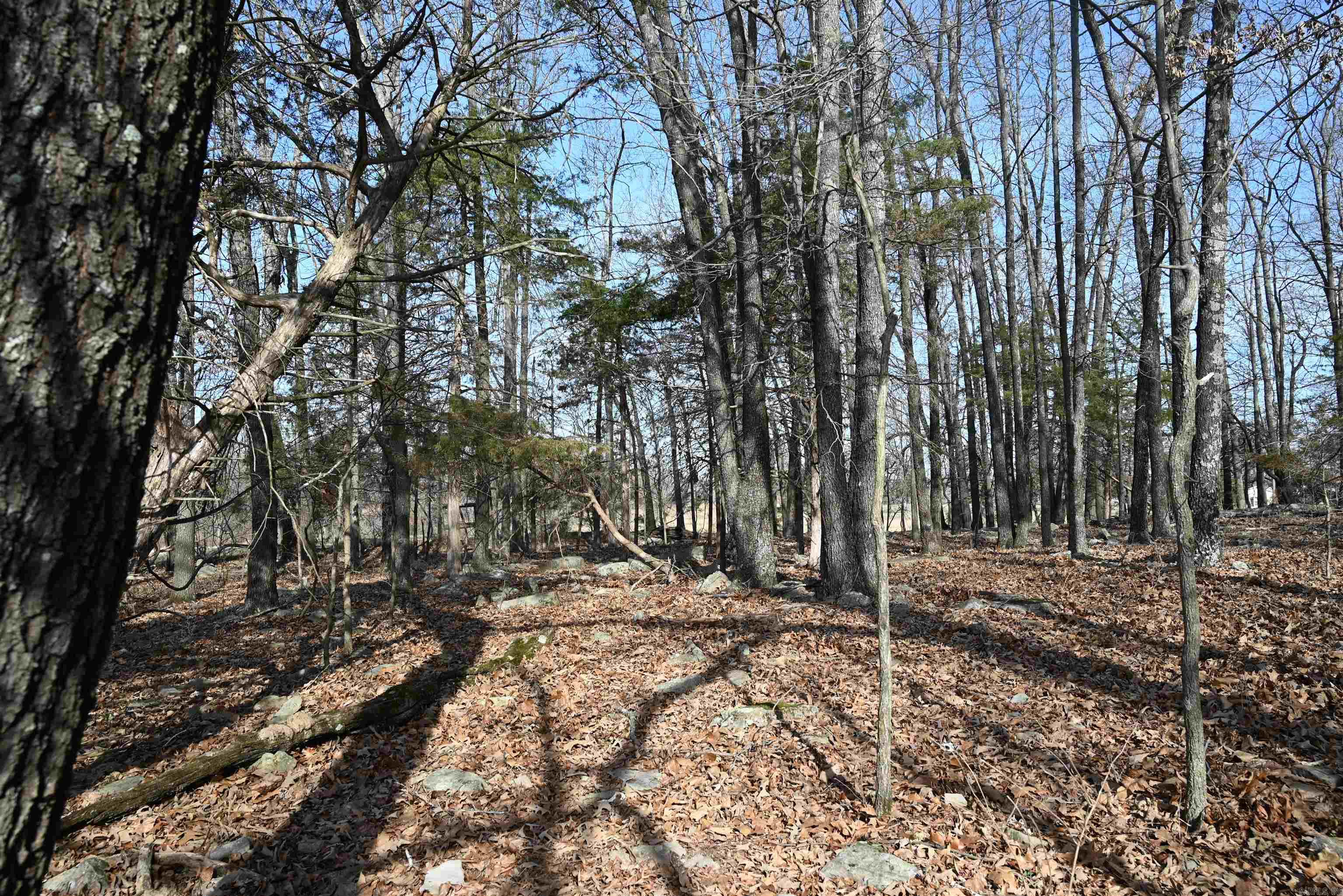 1600 ECLIPSE Road Saint Joe, AR 72675