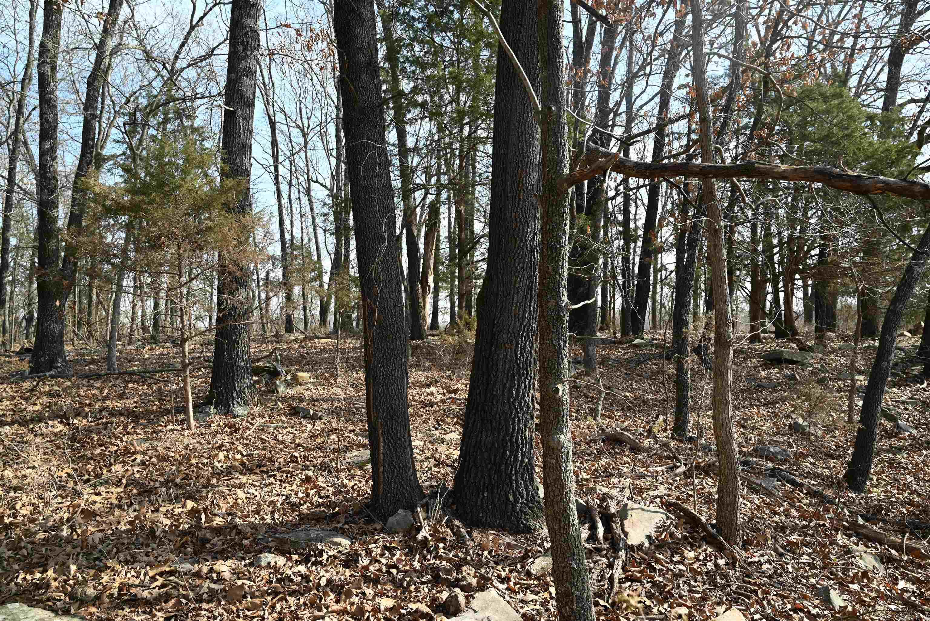 1600 ECLIPSE Road Saint Joe, AR 72675