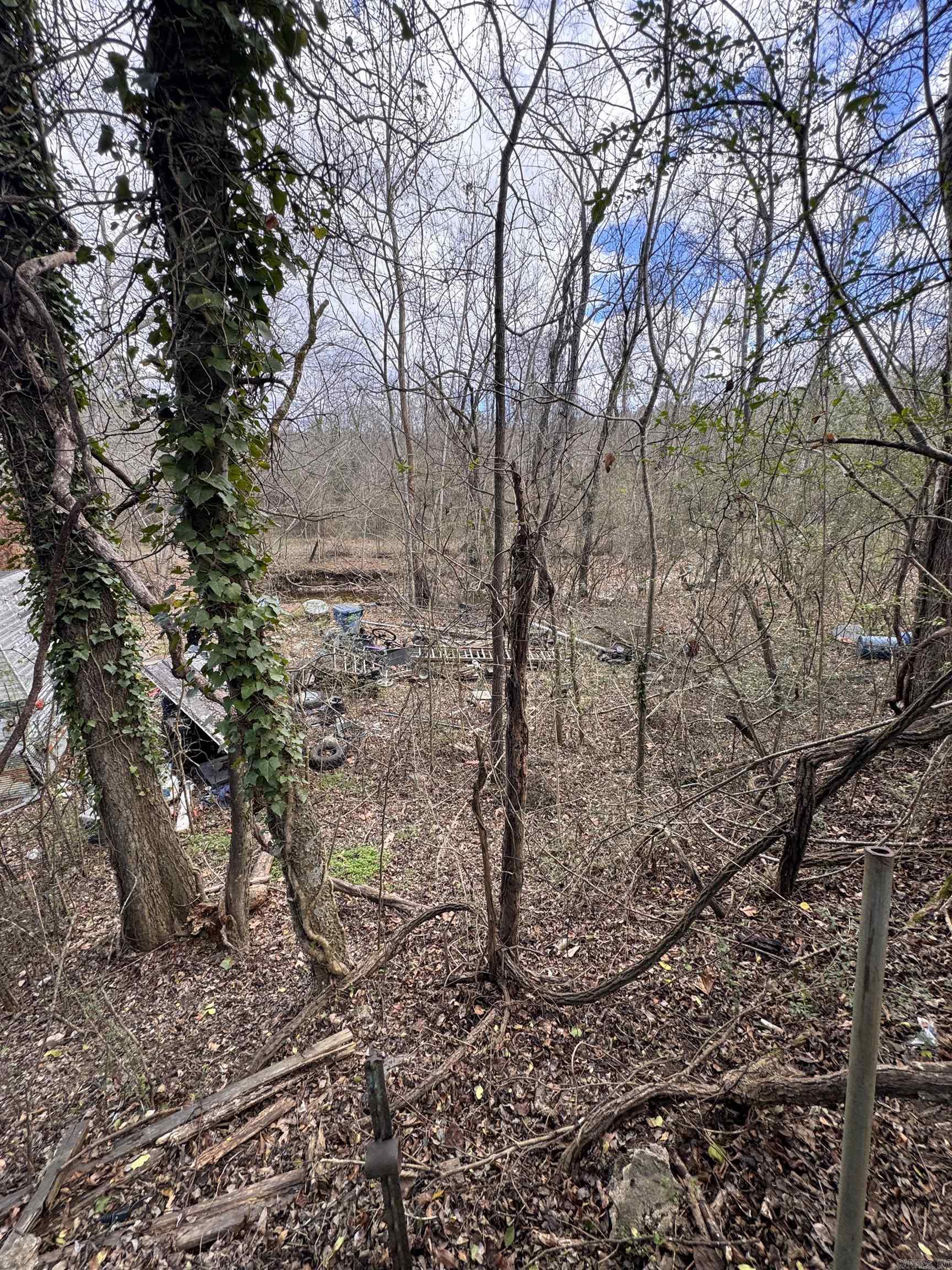 2819 Salt Creek  Benton, AR