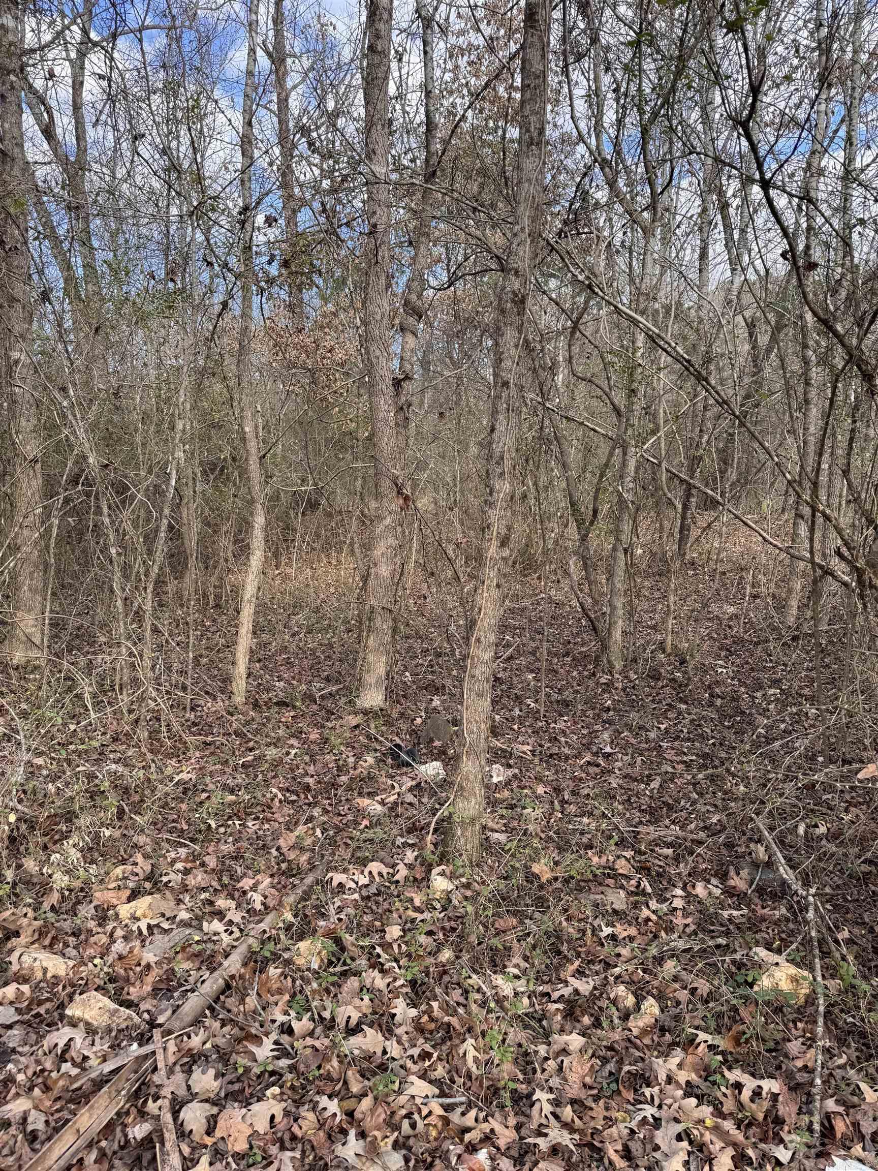 2819 Salt Creek  Benton, AR