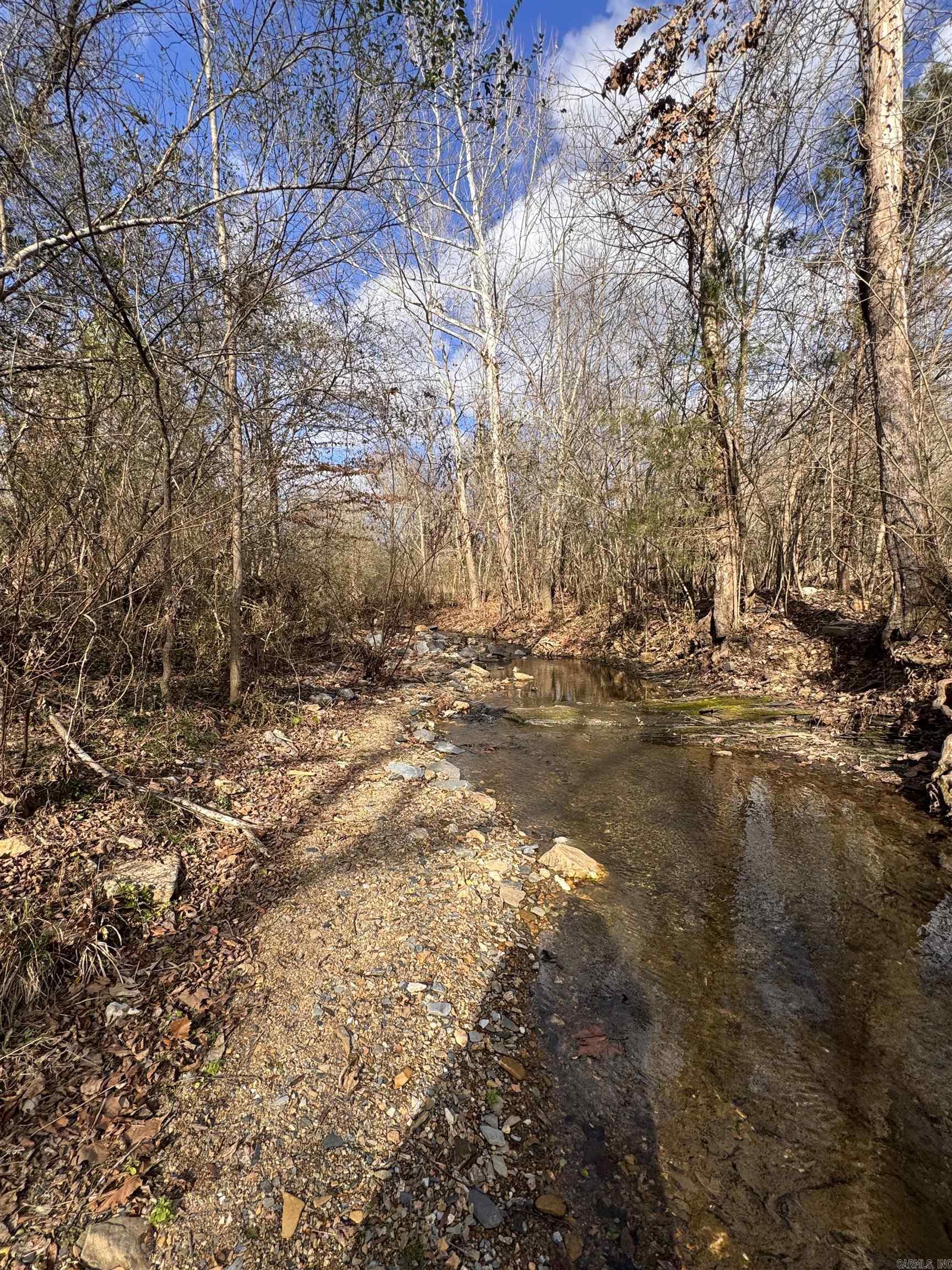 2819 Salt Creek  Benton, AR