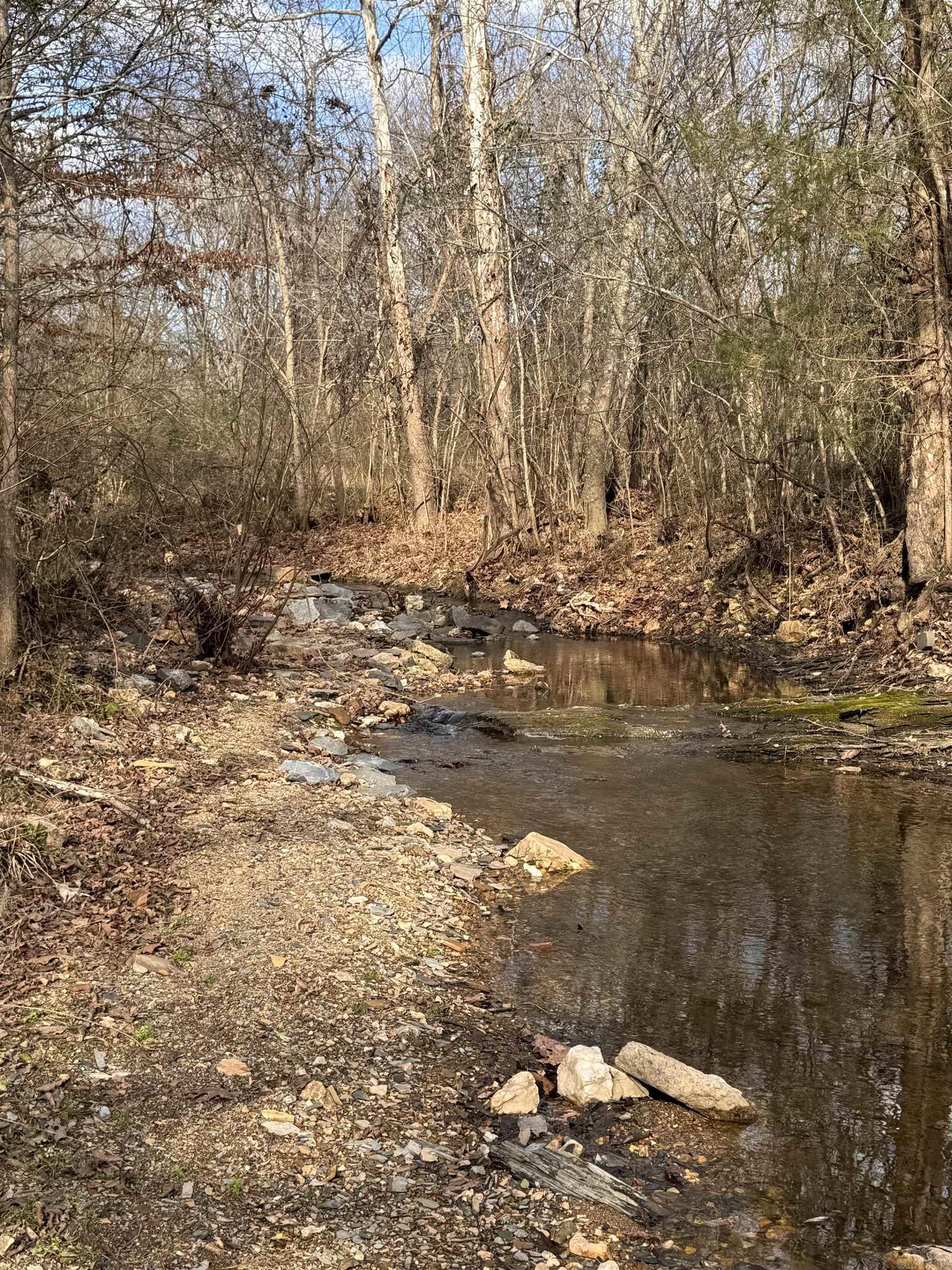 2819 Salt Creek  Benton, AR