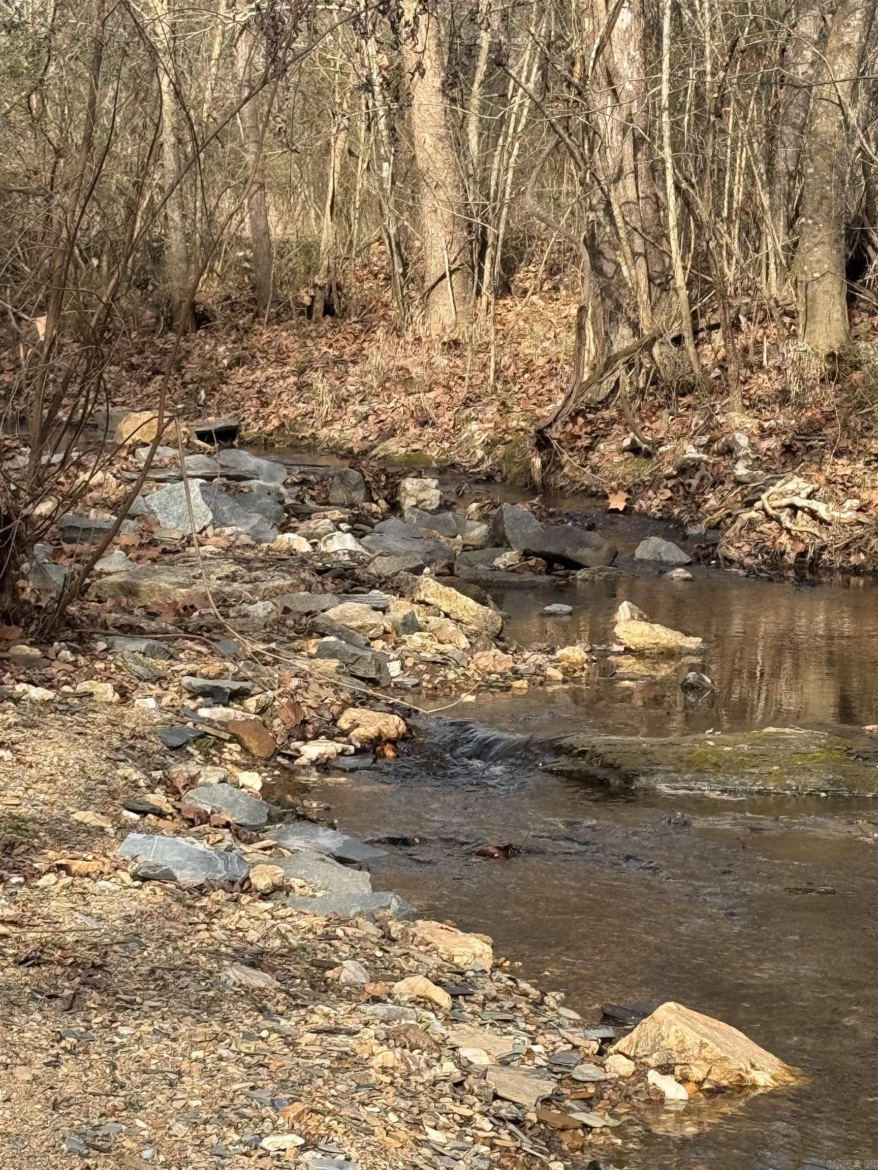 2819 Salt Creek  Benton, AR