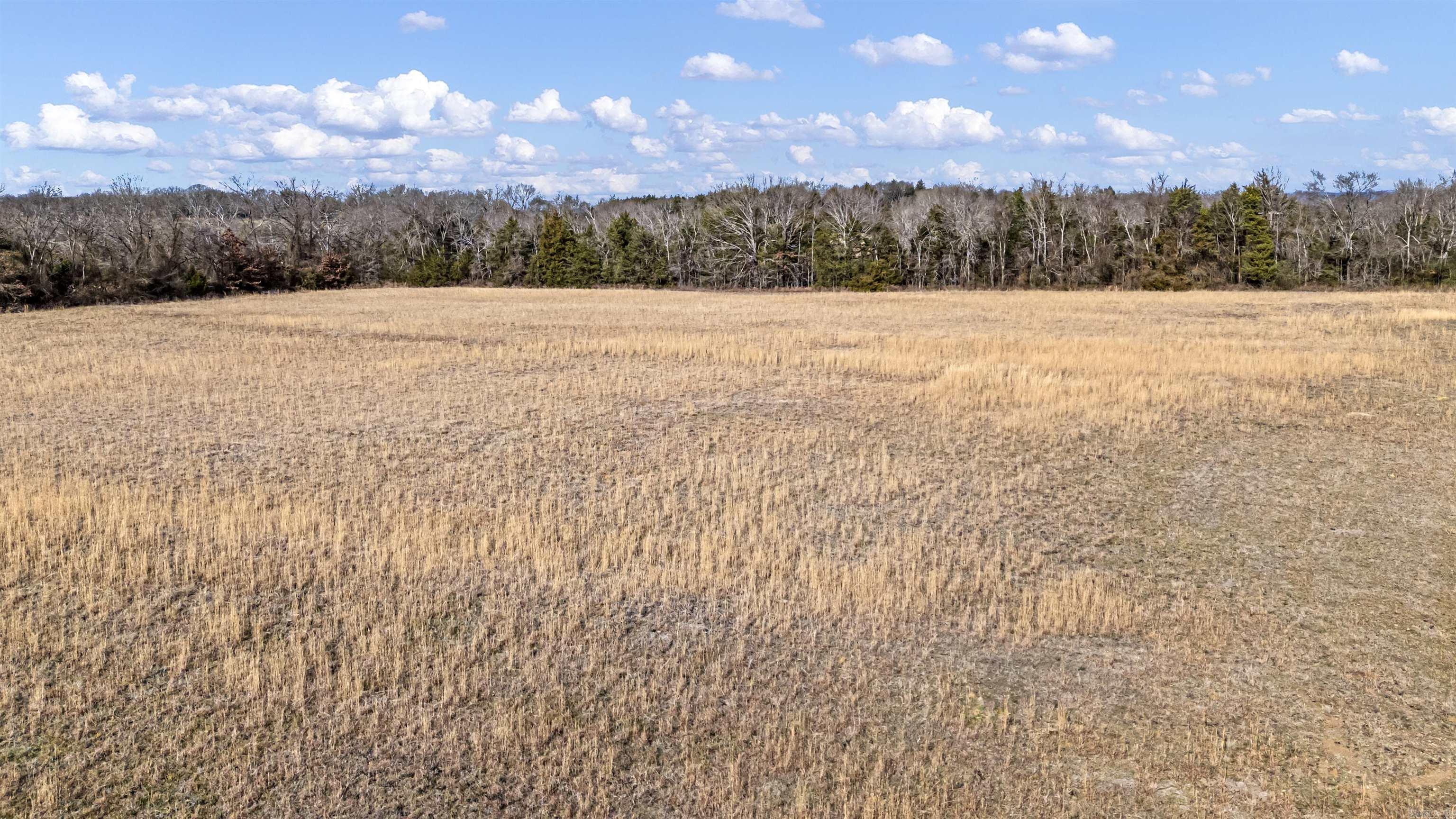 1807 E HWY 22  Branch, AR