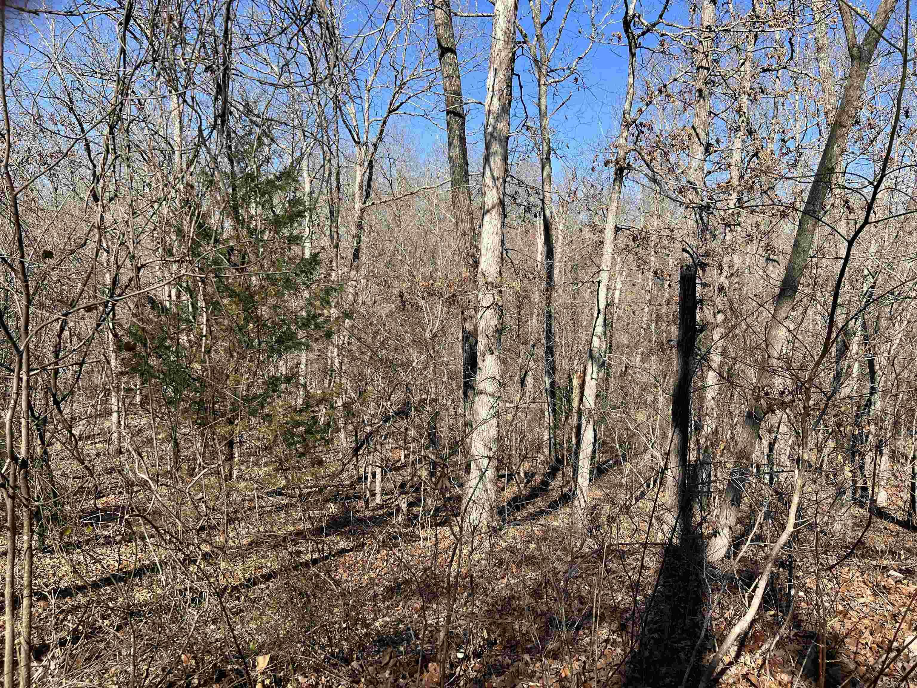 000 PR off Hwy 63  Mammoth Spring, AR