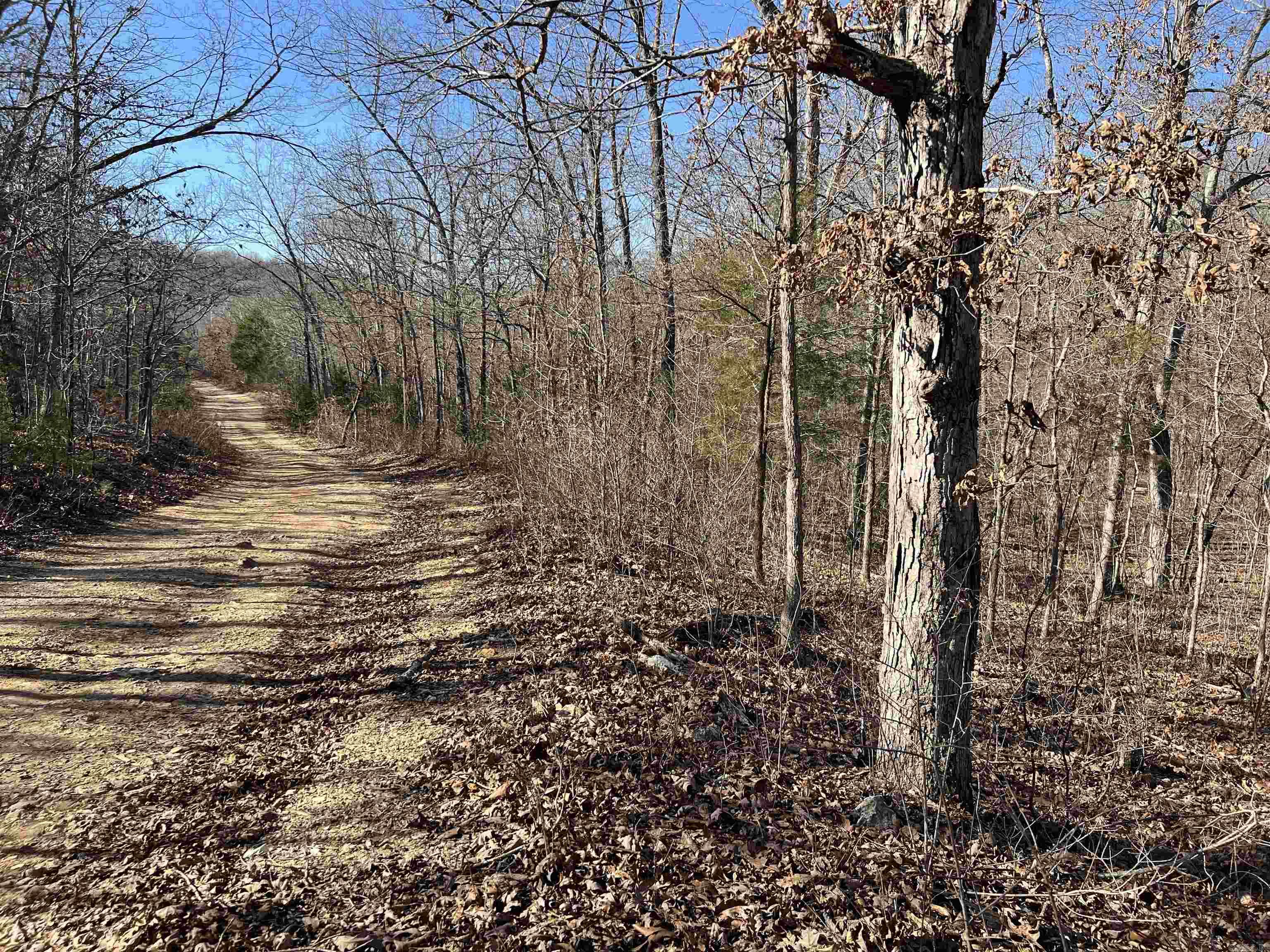 000 PR off Hwy 63  Mammoth Spring, AR