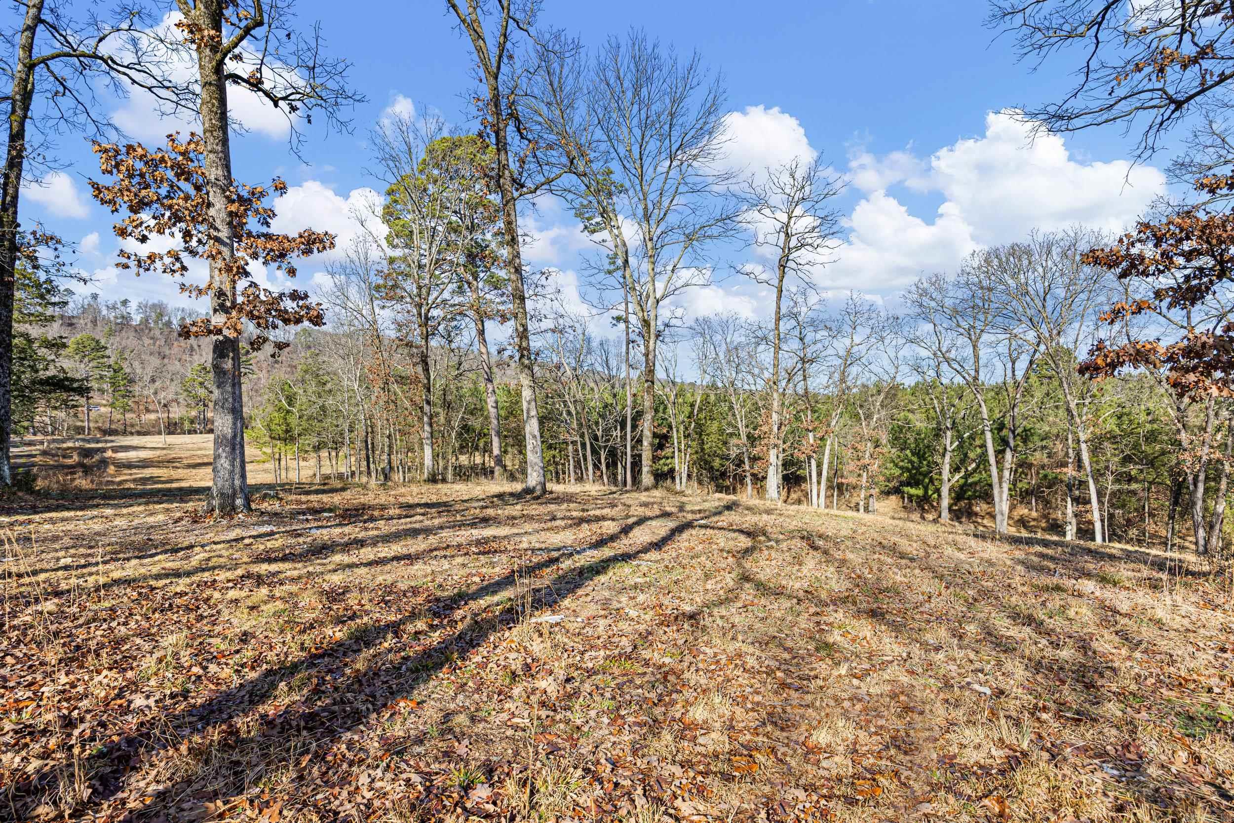 5675 Highway 123  Lamar, AR